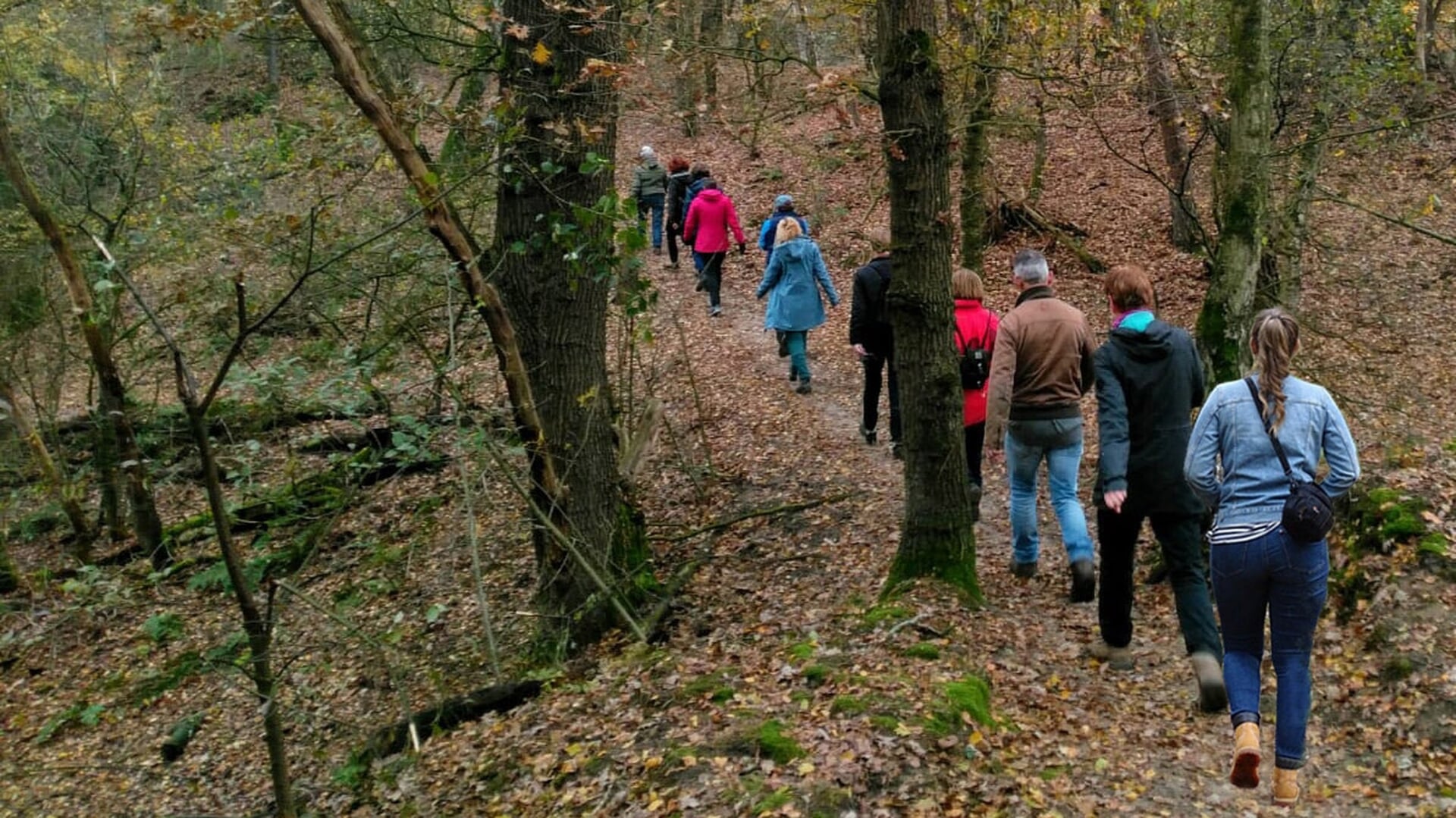 Pater Vos-wandeltocht in De Maashorst
