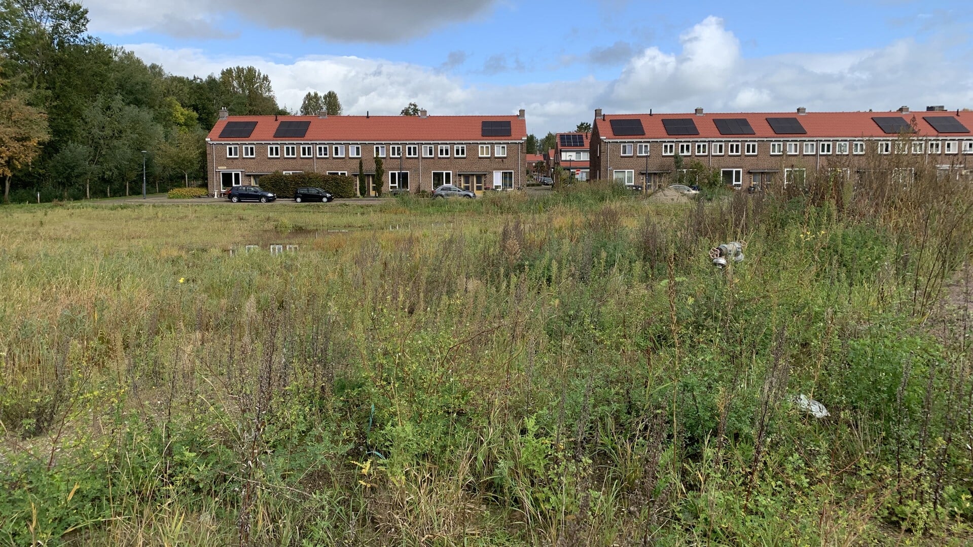 Woonwijk Harmoniehof: 100 sociale huurwoningen