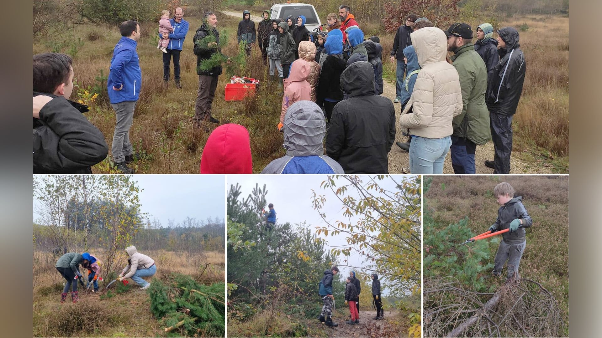 FOTOREPORTAGE: Scouting Schaijk laat zich niet tegenhouden door regen tijdens Natuurwerkdag