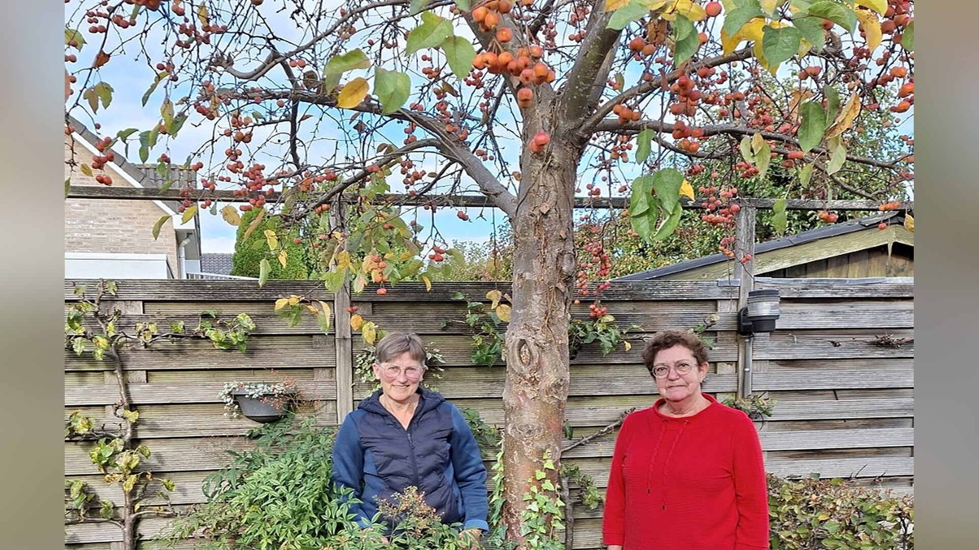 Tweede wintertuinwedstrijd in Escharen: ‘Maak een natuurlijke buitentuin’