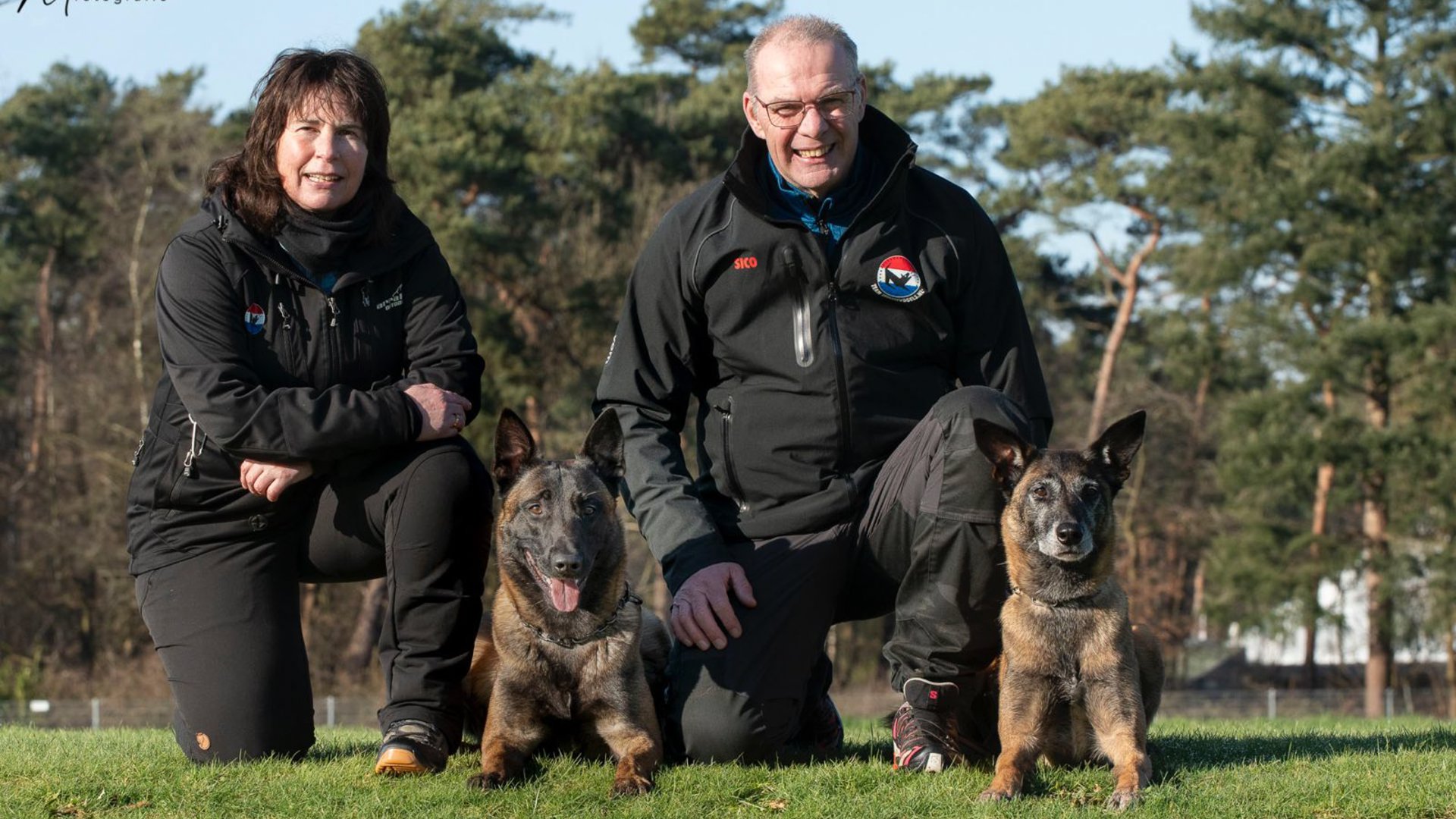 Beesdse honden schitteren in Apeldoorn: bekersucces én ticket voor WK in Spanje