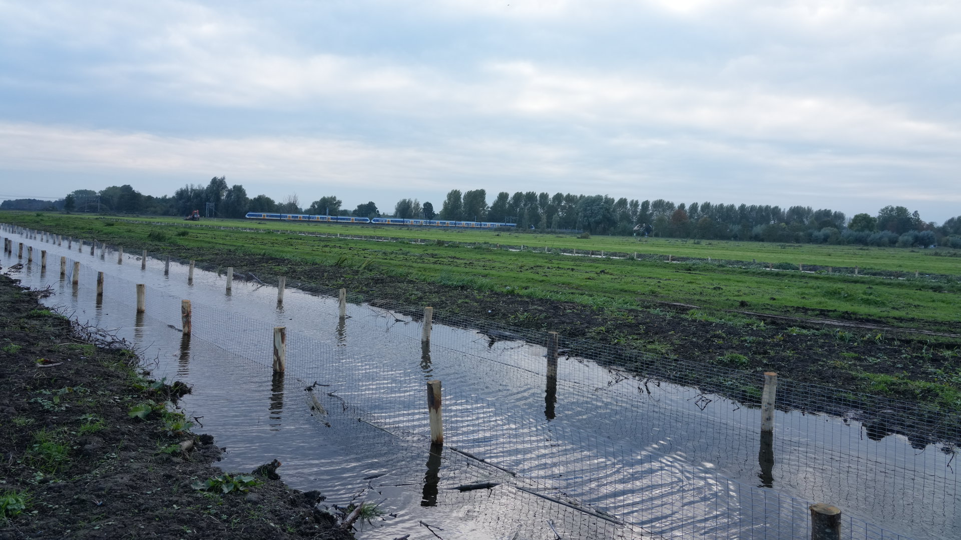 Vijf kilometer natuurvriendelijke oevers aangelegd bij Gouda