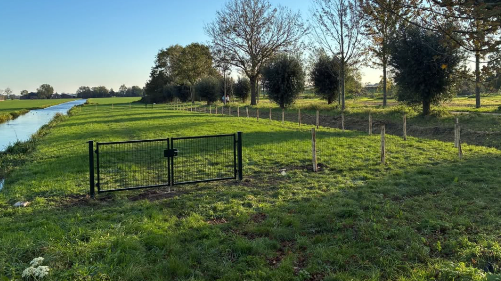Honden in Linschoten kunnen straks vrij rennen en spelen op het Weidepad