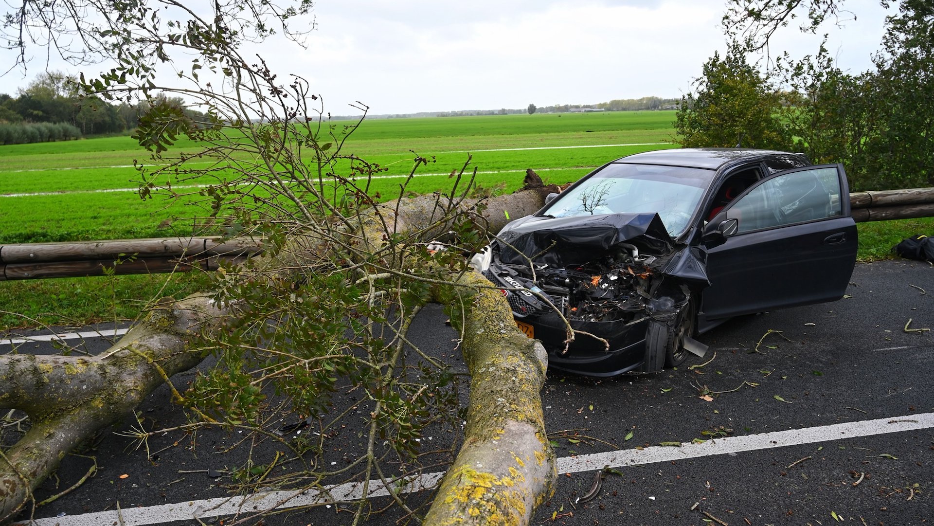 Boom valt op auto op de N484 bij Schoonrewoerd