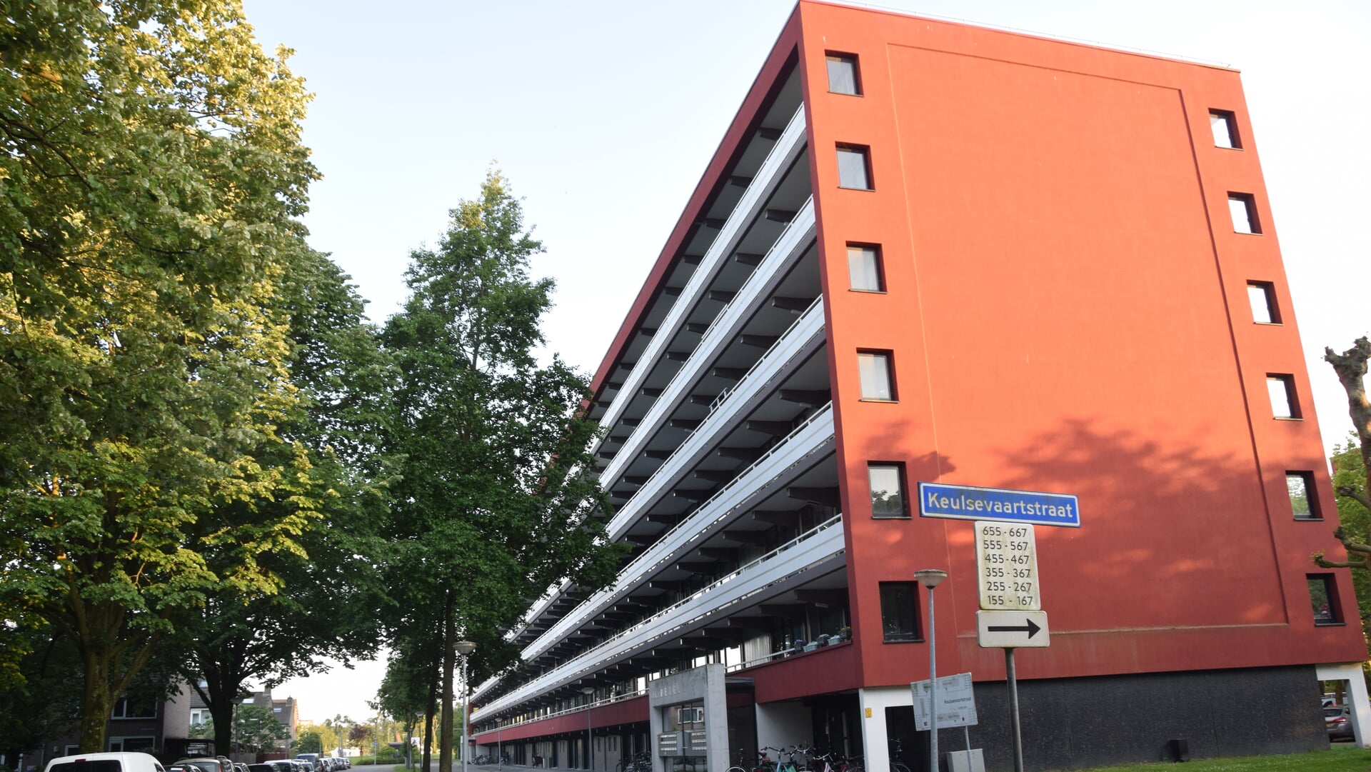Vleermuizenonderzoek vertraagt werkzaamheden Ymere aan Keulsevaartstraat
