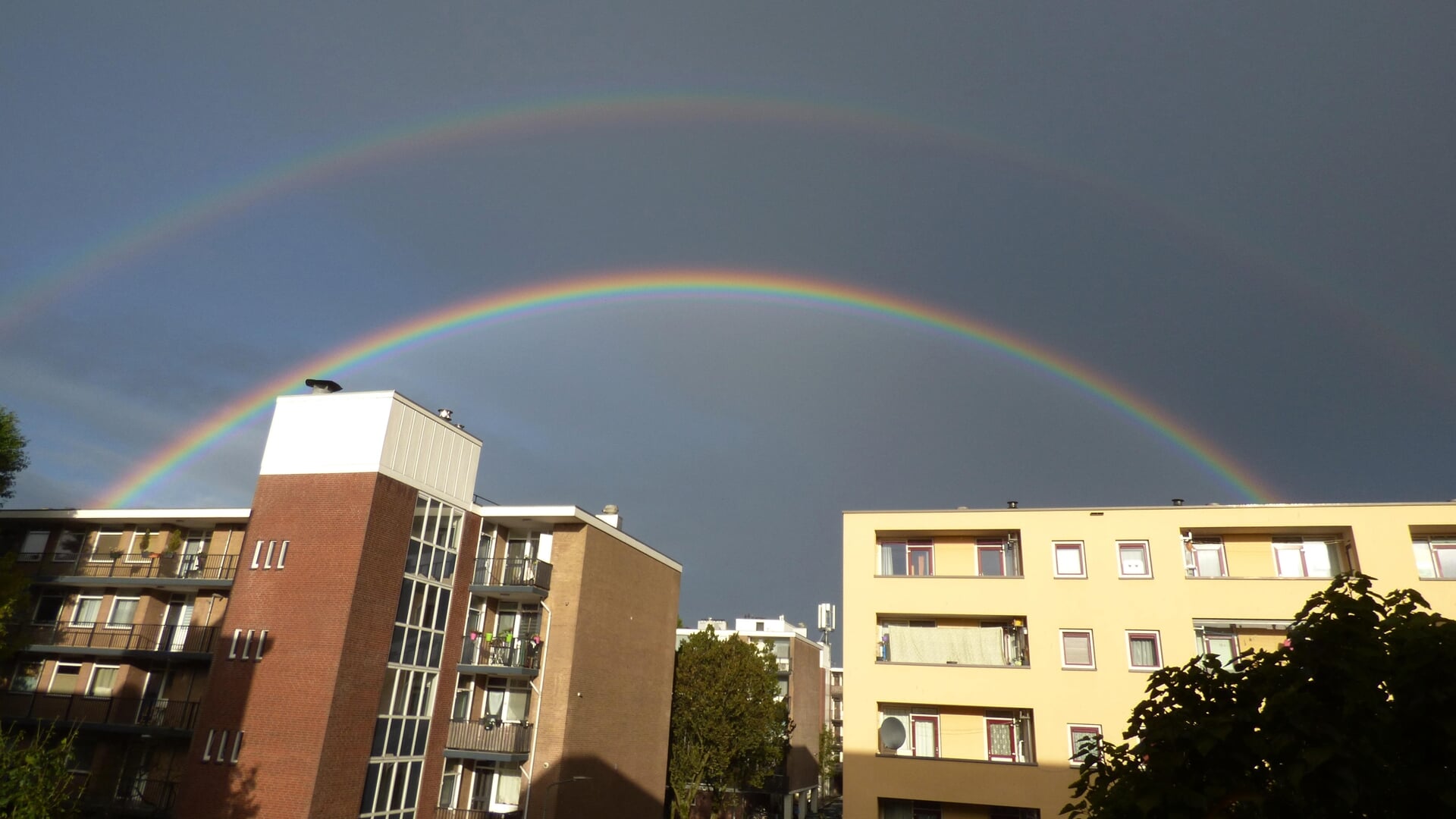 Dubbele regenboog in Hilversum; komende dagen meerdere buien