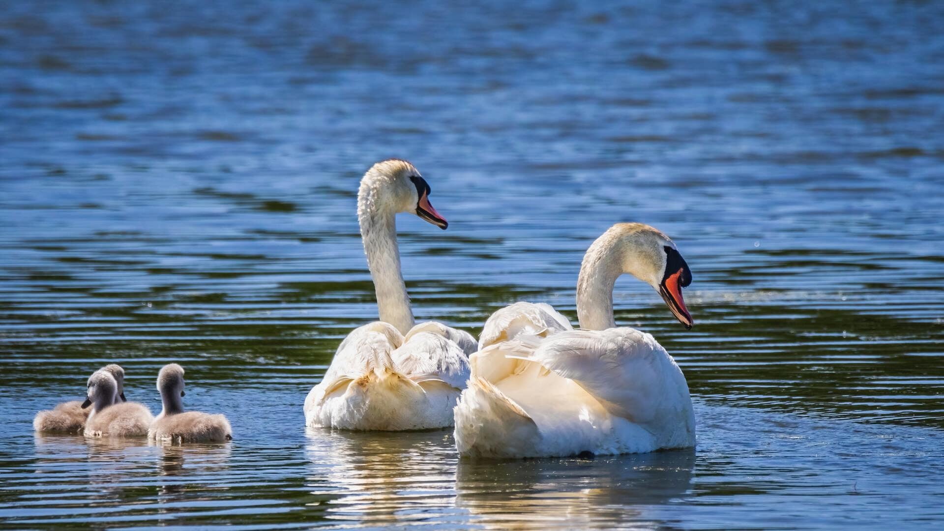 Gratis cursus positief opvoeden voor ouders