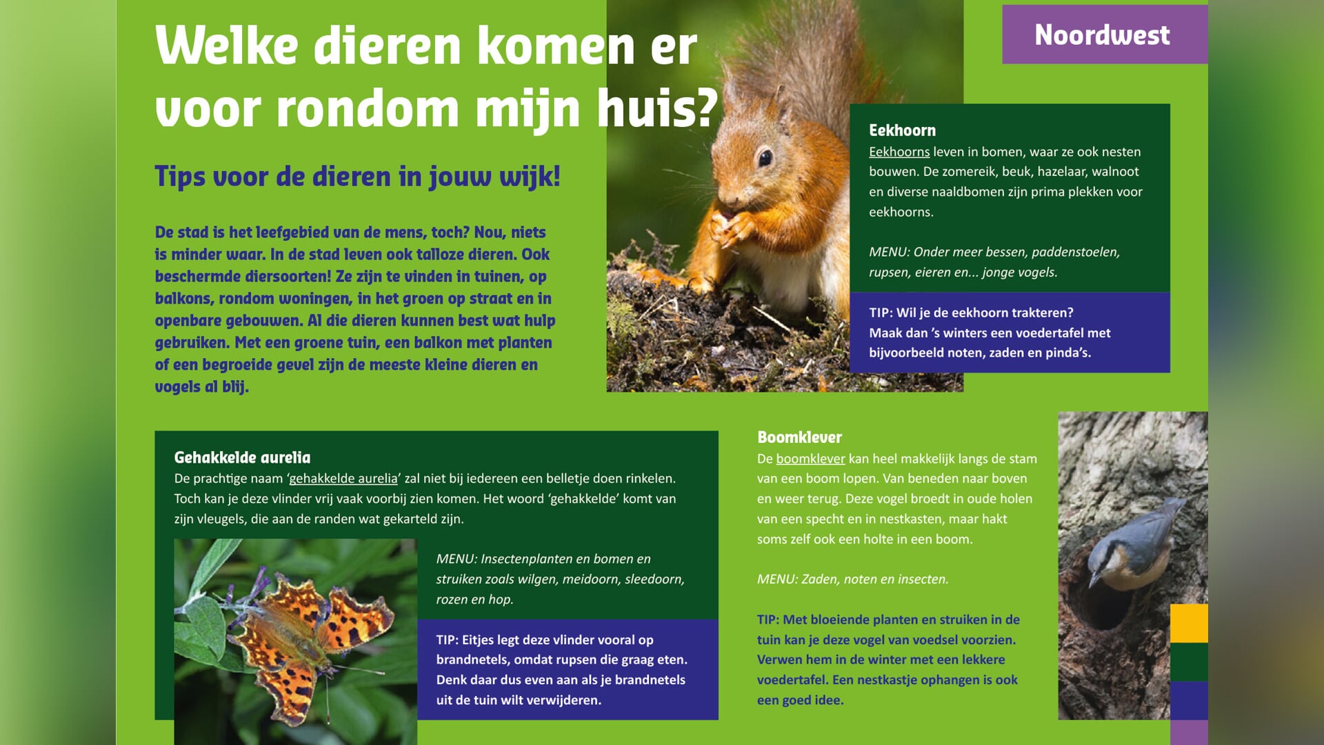 Welke dieren leven er in uw wijk?