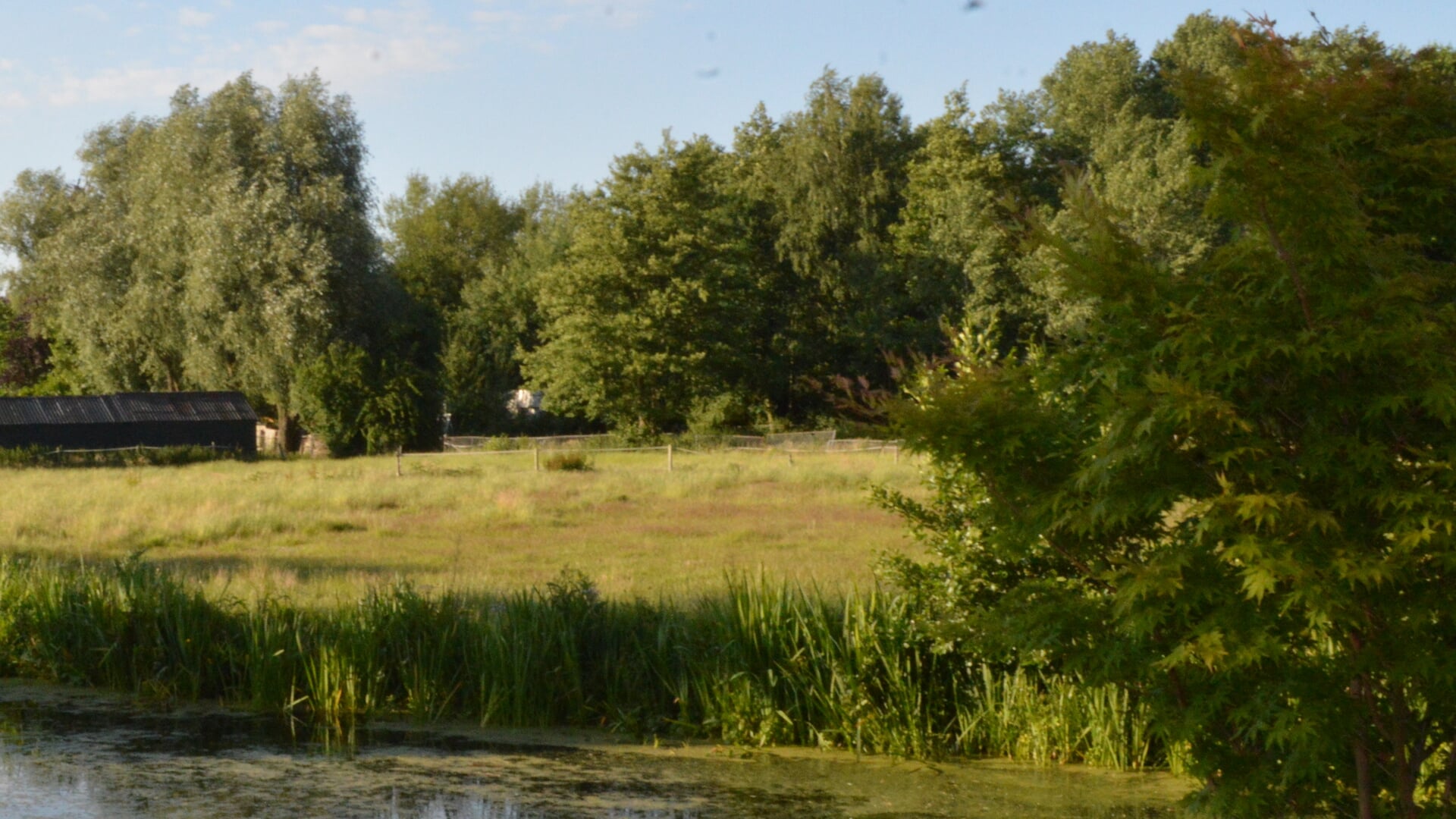 Raad van State keurt woningbouwplan Borgronden in Naarden grotendeels goed; wel ‘kleine reparatie’ n
