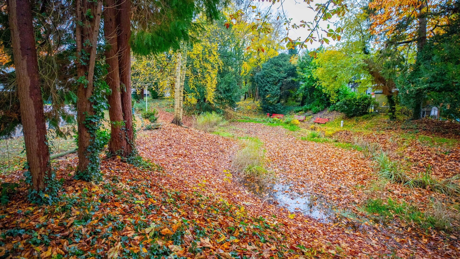 Villabewoners in Hilversum krijgen nul op rekest: geen extra schadevergoeding vanwege plan Heuvellaa