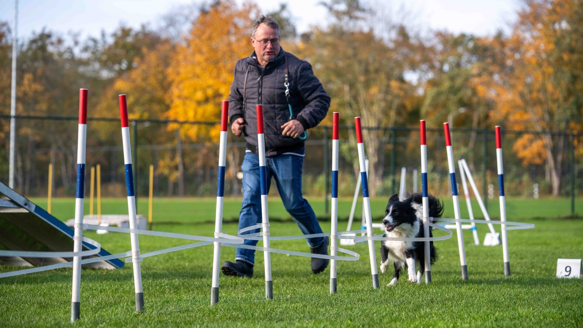 Kynologenclub Gooi en Eemland viert jubileum; een eeuw liefde voor honden