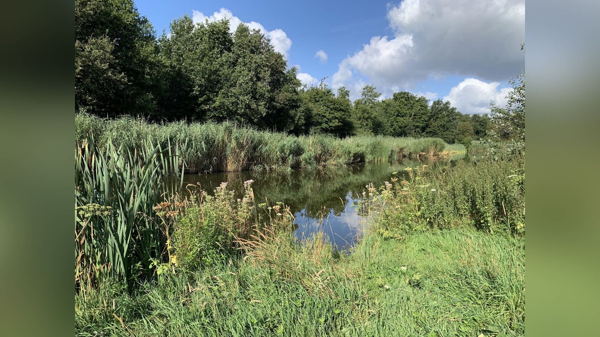 Aanmelden voor Vriendendag van Vrienden van het Diemerbos