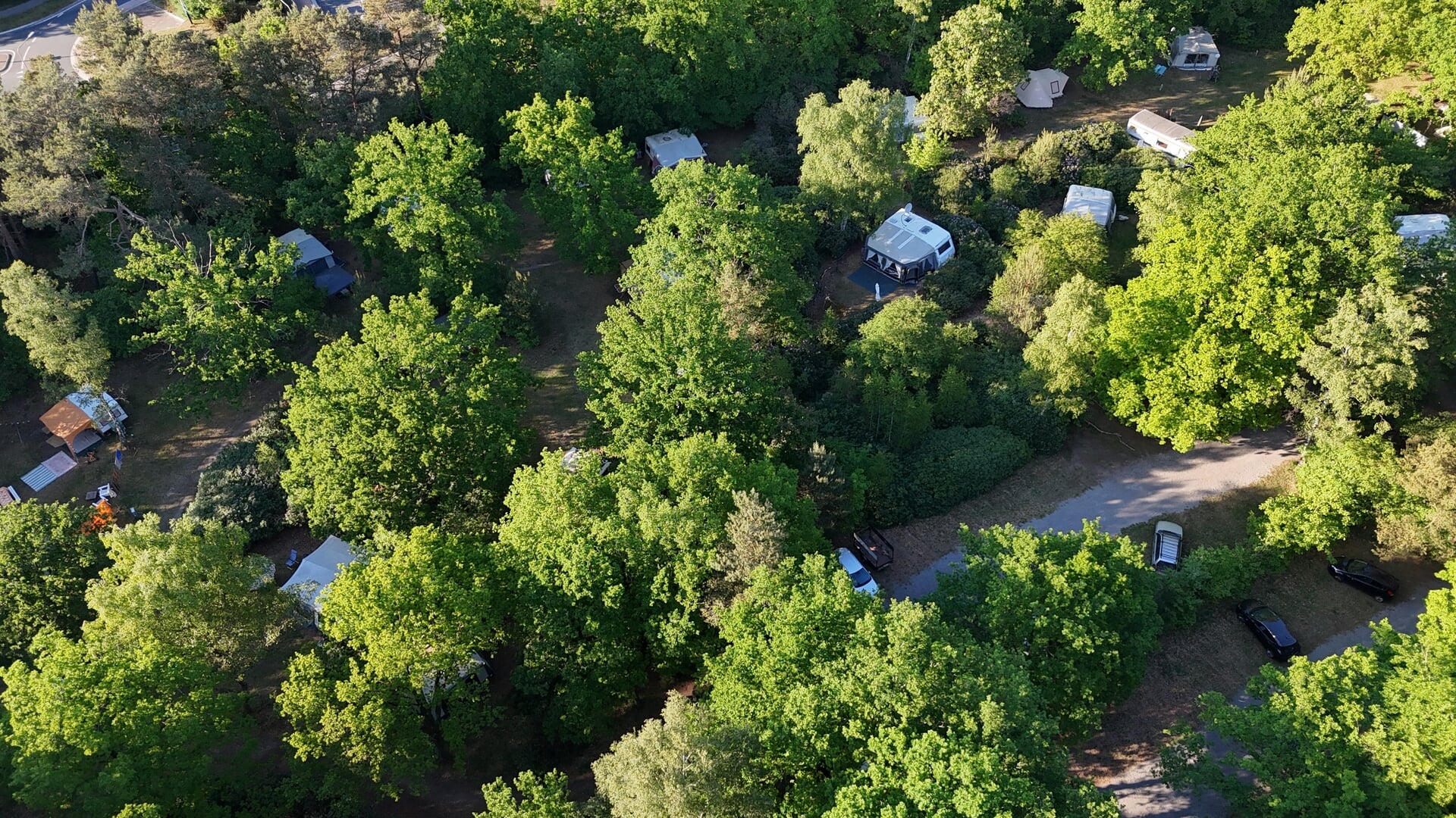 Invoering toeristenbelasting baart non-profitcamping in Hilversum zorgen: ‘Duizenden euro’s extra pe