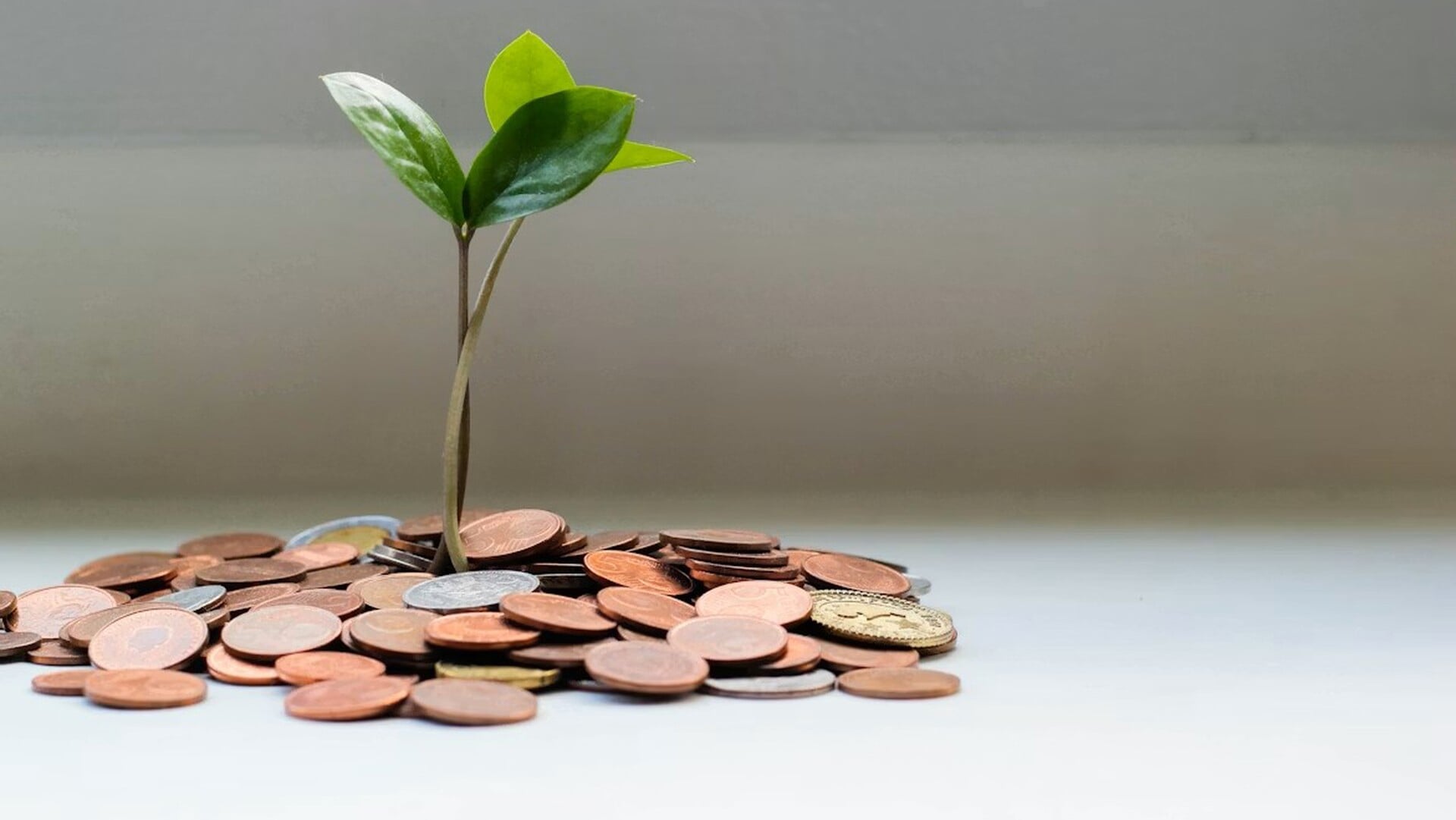 Meer grip op je geld dankzij projecten in de buurt | Al het nieuws uit ...