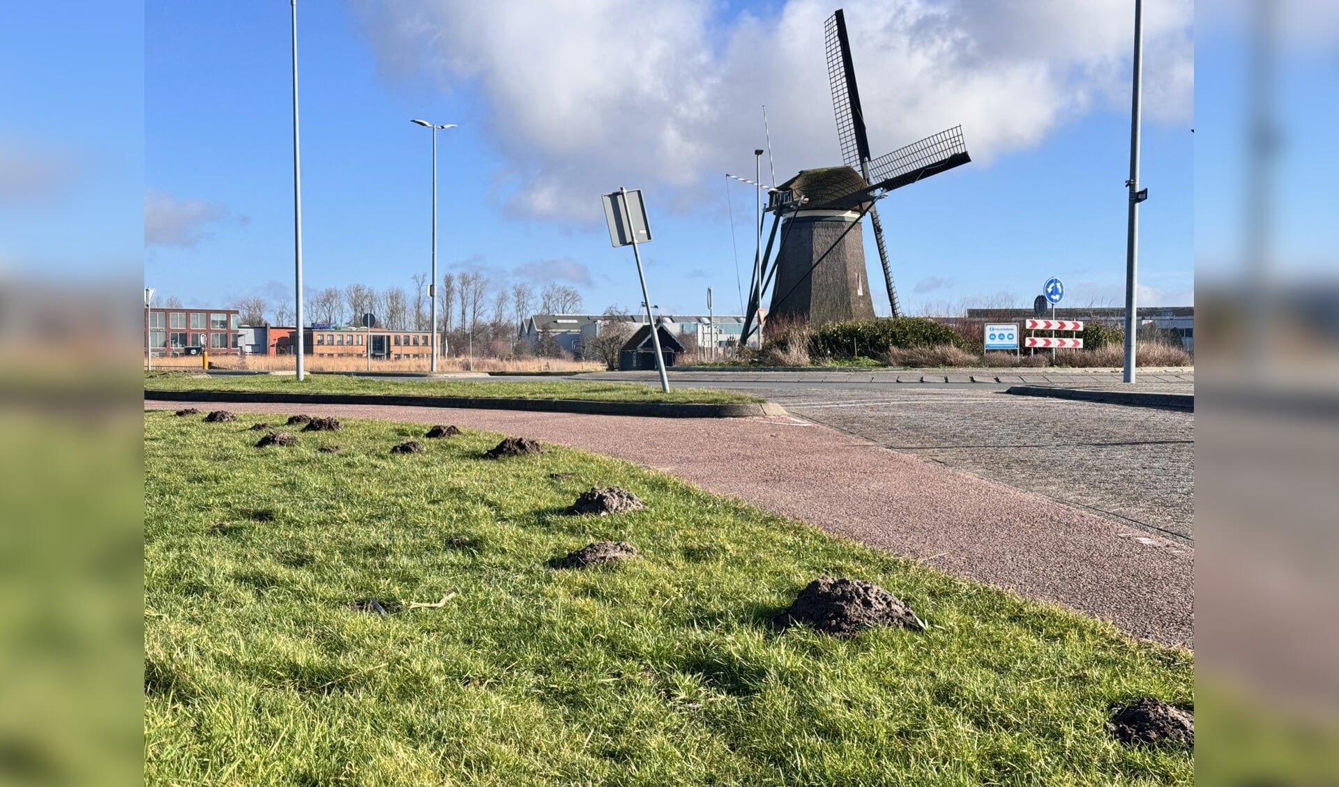 Waarom er dit jaar extra veel molshopen zijn