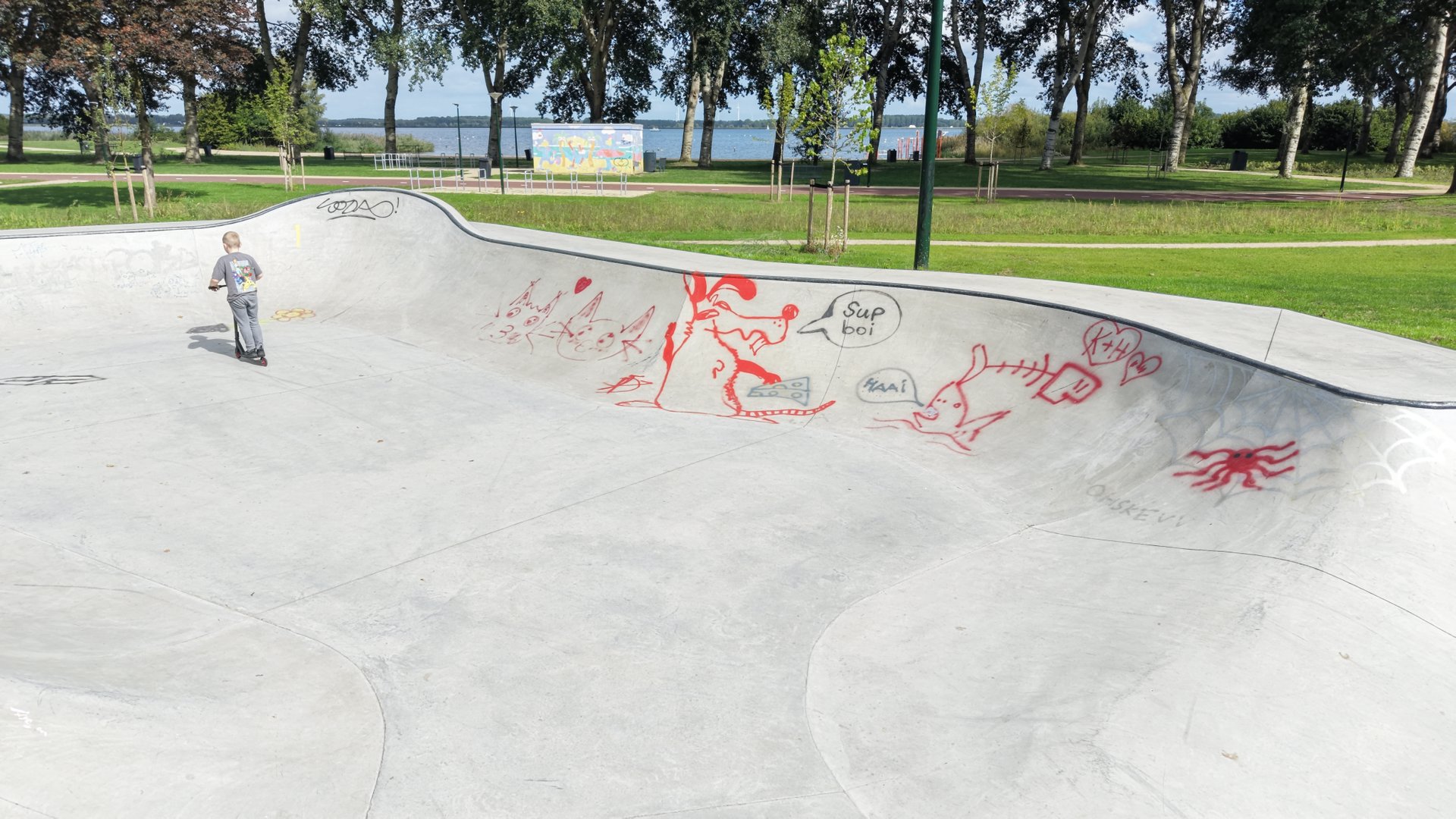Graffiti op skatebaan Zomerkade: vandalisme of onderdeel van de ...