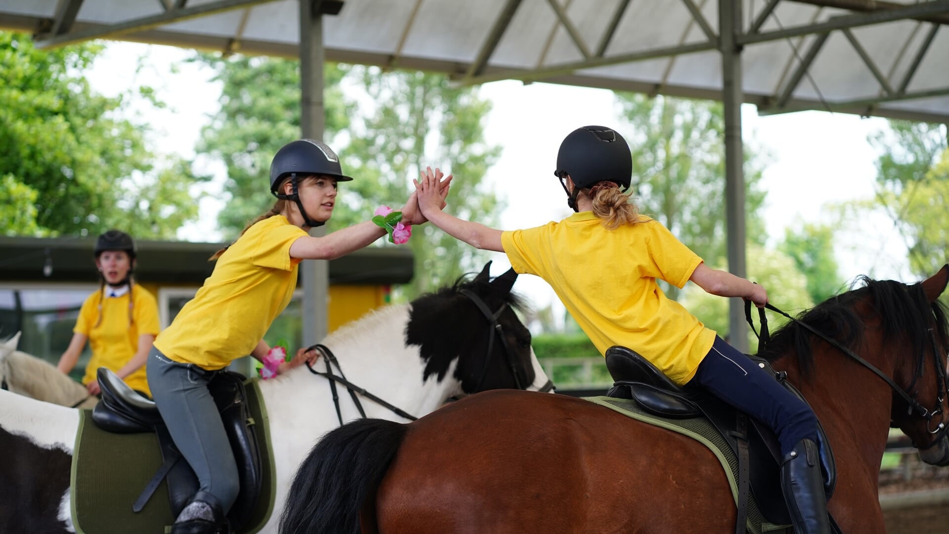 Ponymanege Equito houdt open dag: ruiters en pony’s ‘op expeditie’