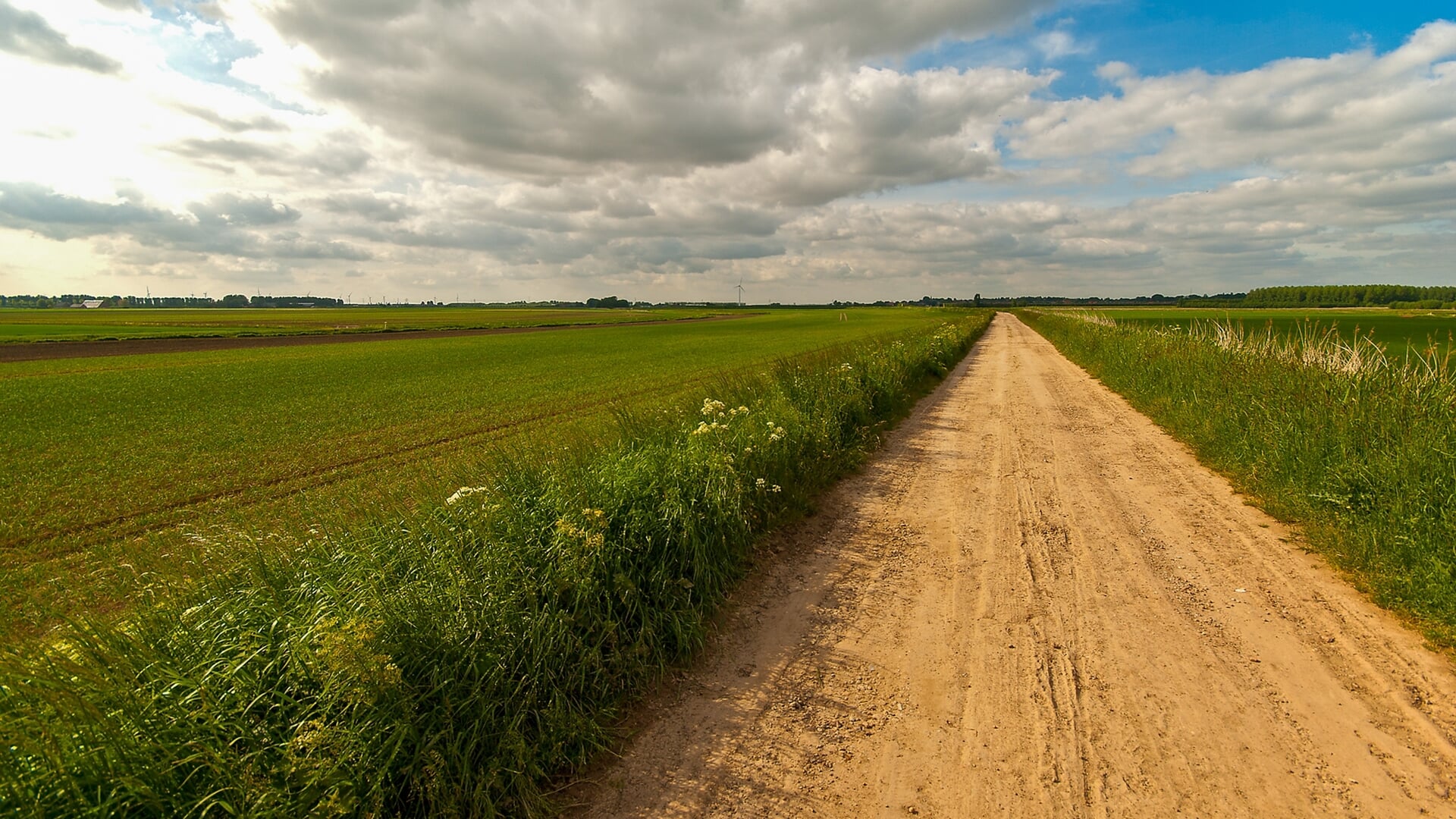 Wandelen langs de Brabantse Wal en Noordpolder