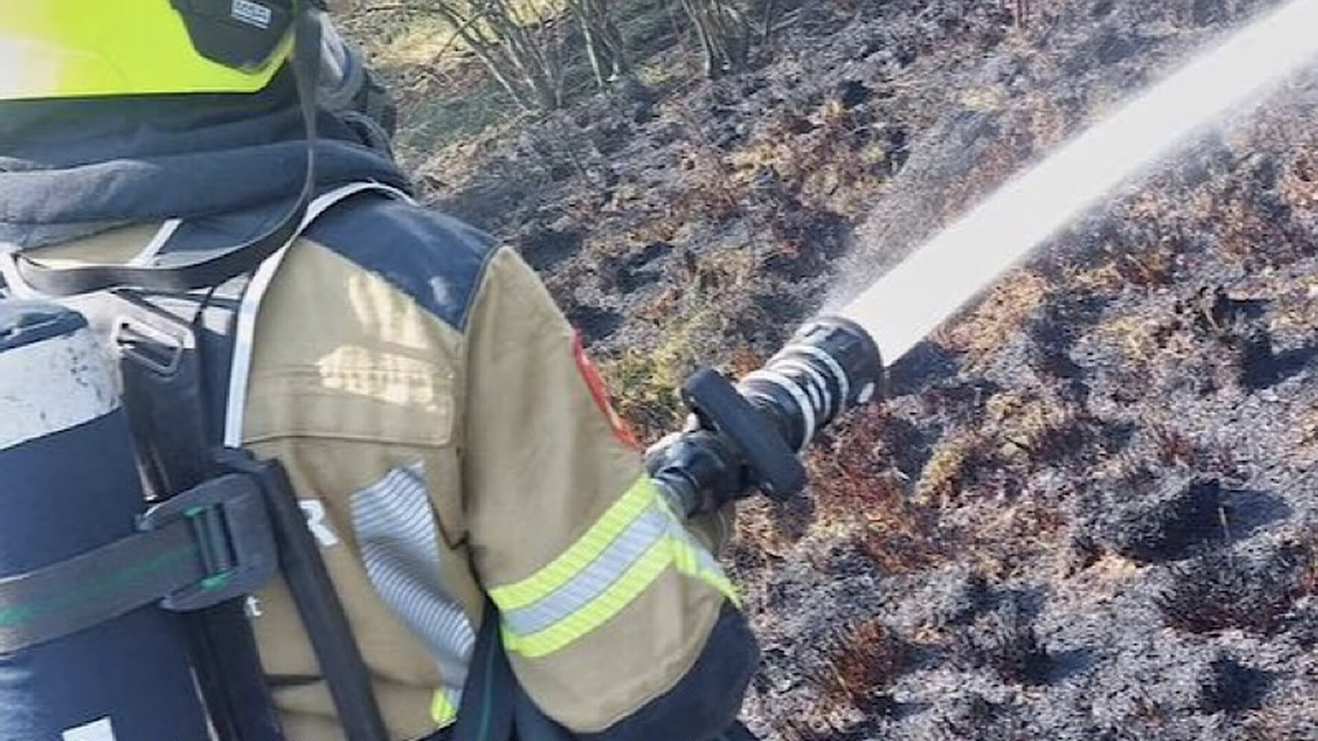 Bosbrand snel onder controle