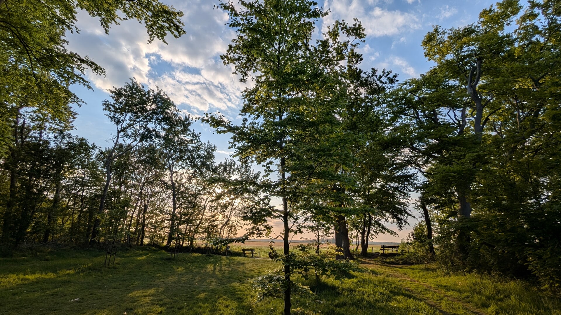 Wandelpaden in Heiloo vernieuwd
