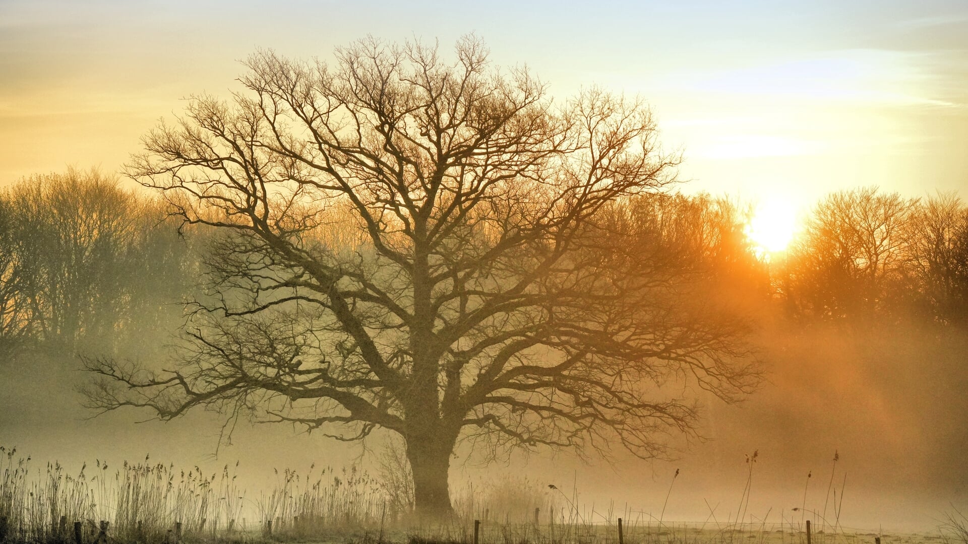Lezersfoto van de dag