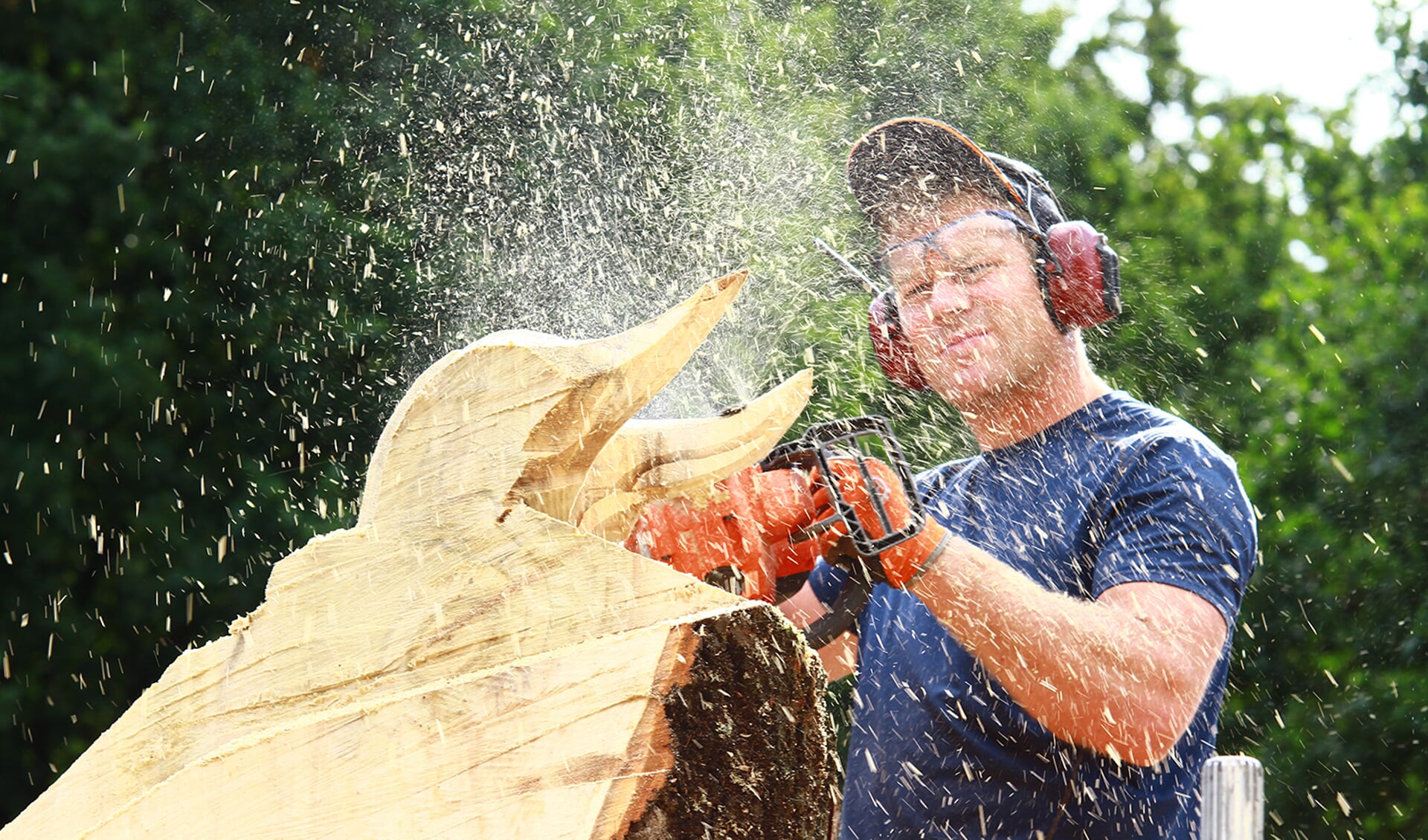 Lumberjack Festival 2019: Konkurranse og underholdning i Lage Vuursche – BaarnscheCourant.nl