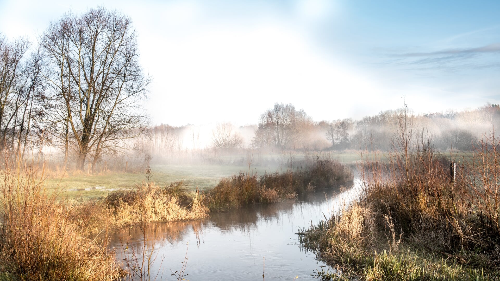 Vroege ochtendwandeling in het beekdal
