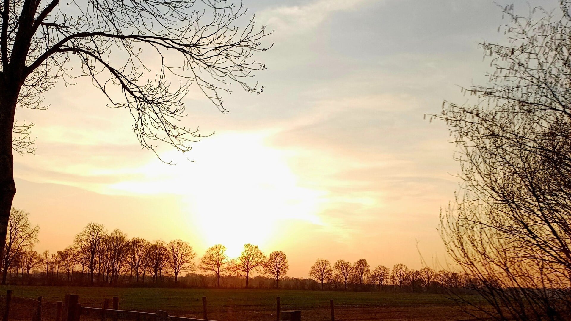 Foto van de dag