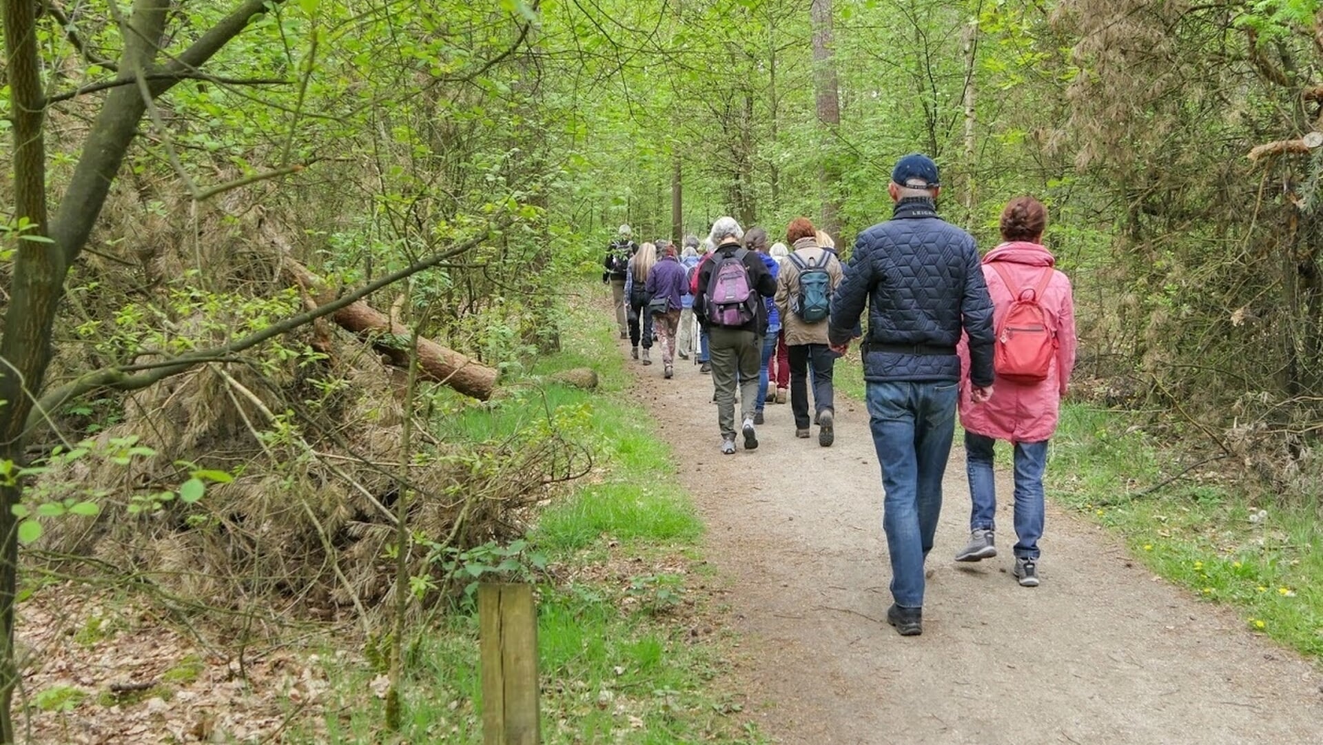 Landschapswandeling Sint Annabos en Bedafse Bergen met IVN Geldrop en Nuenen