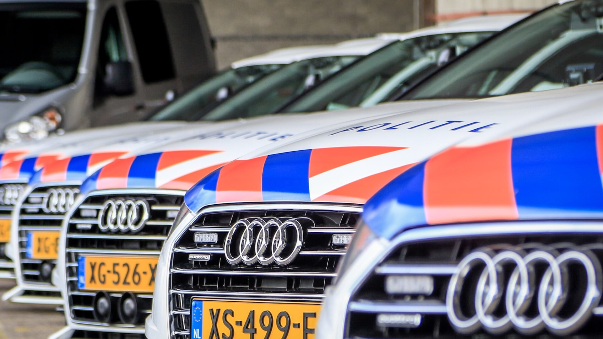 Steekpartij in Den Dungen