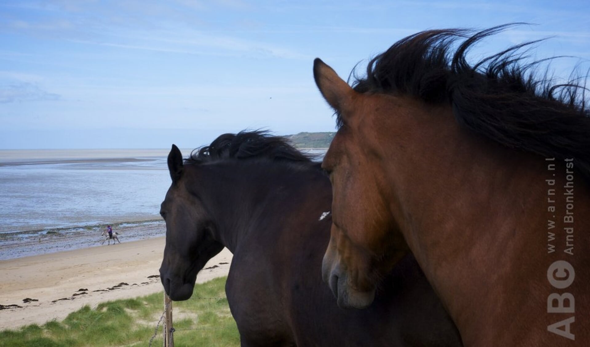 Free riding op het strand - Bit & Cap