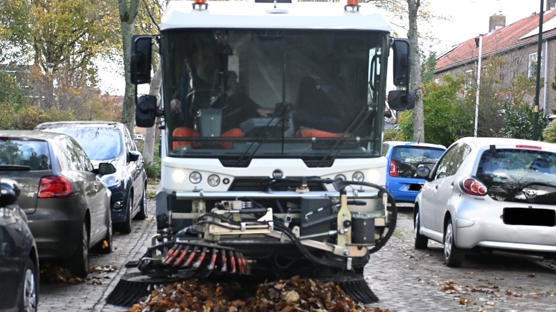 Vallende bladeren: de herfst is in volle gang