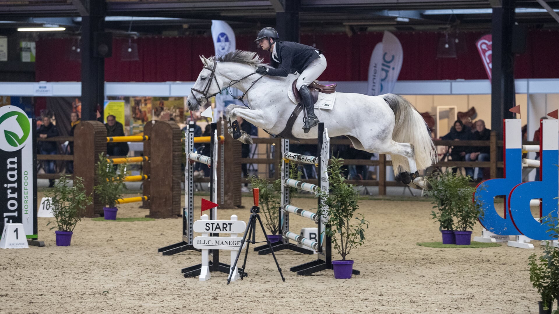 Jumping Tolbert Gaat Met 1830 Starts, Een Volle Week Paardensport ...