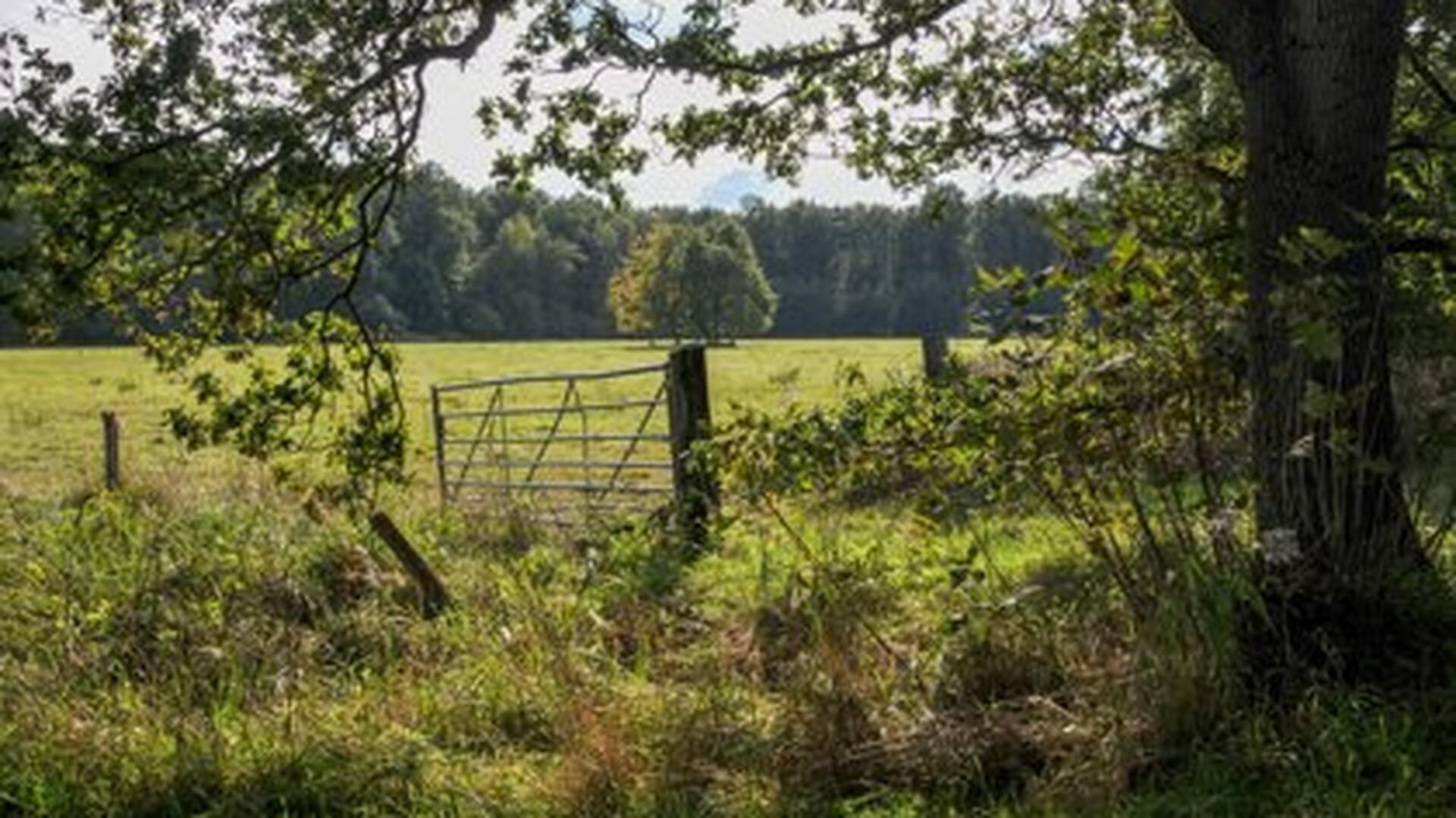 Natuurexcursie naar het Oudland