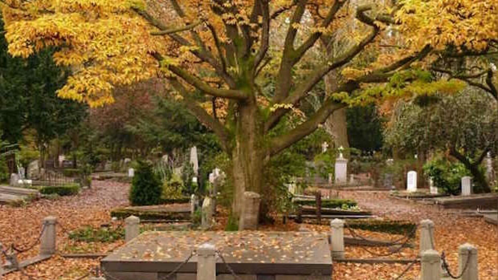 Rondleiding op monumentale begraafplaats Zorgvlied