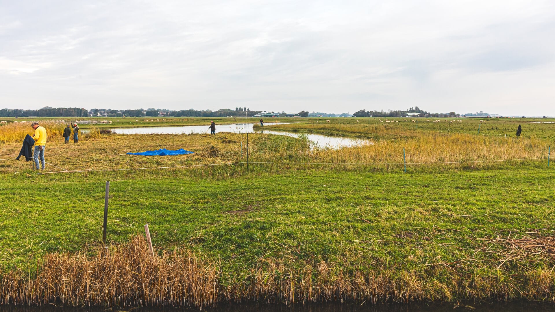 Onderhoud natuurgebied De Hooge Weide
