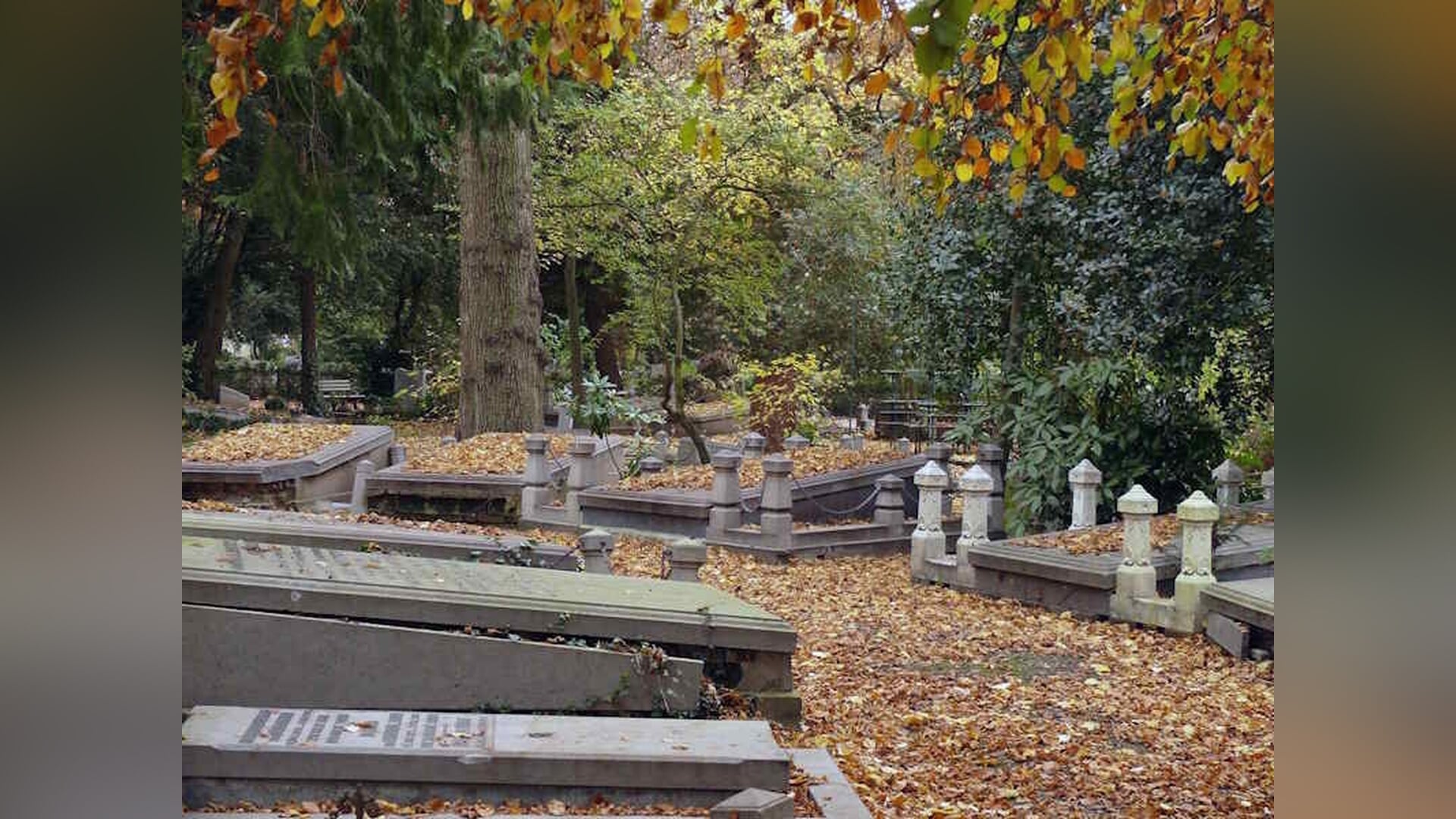 Zondag 19 en 26 oktober herfstrondleiding over Zorgvlied