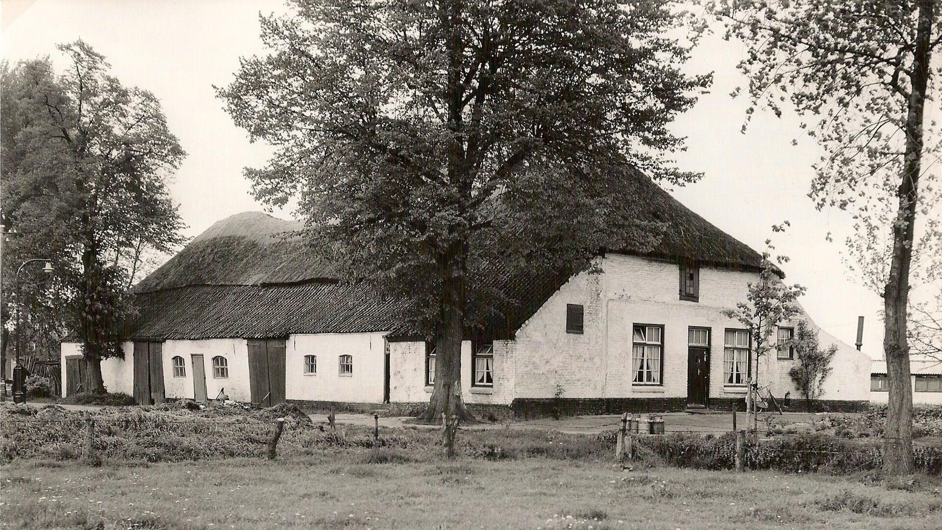 Wandeling voormalige kasteelterrein Mierlo