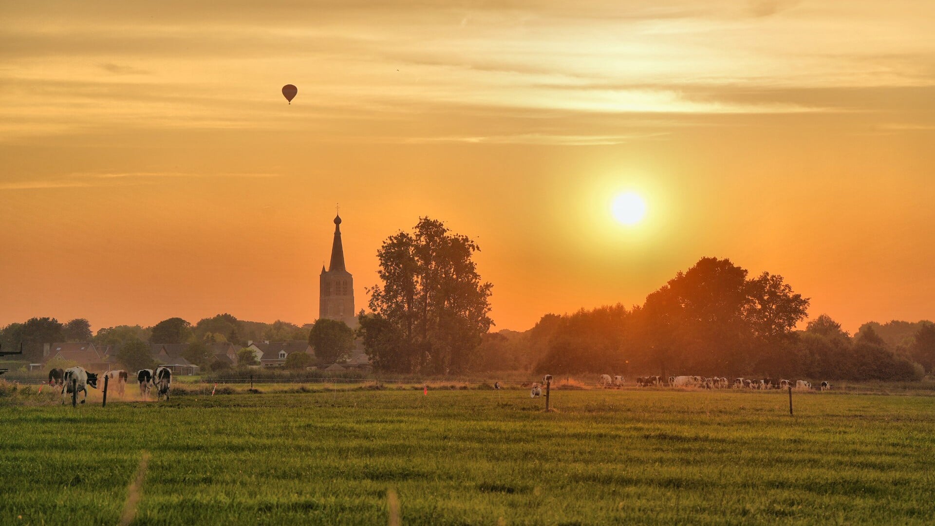 De foto van de dag