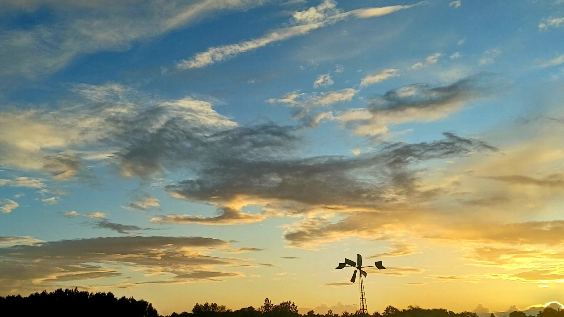 De foto van de dag