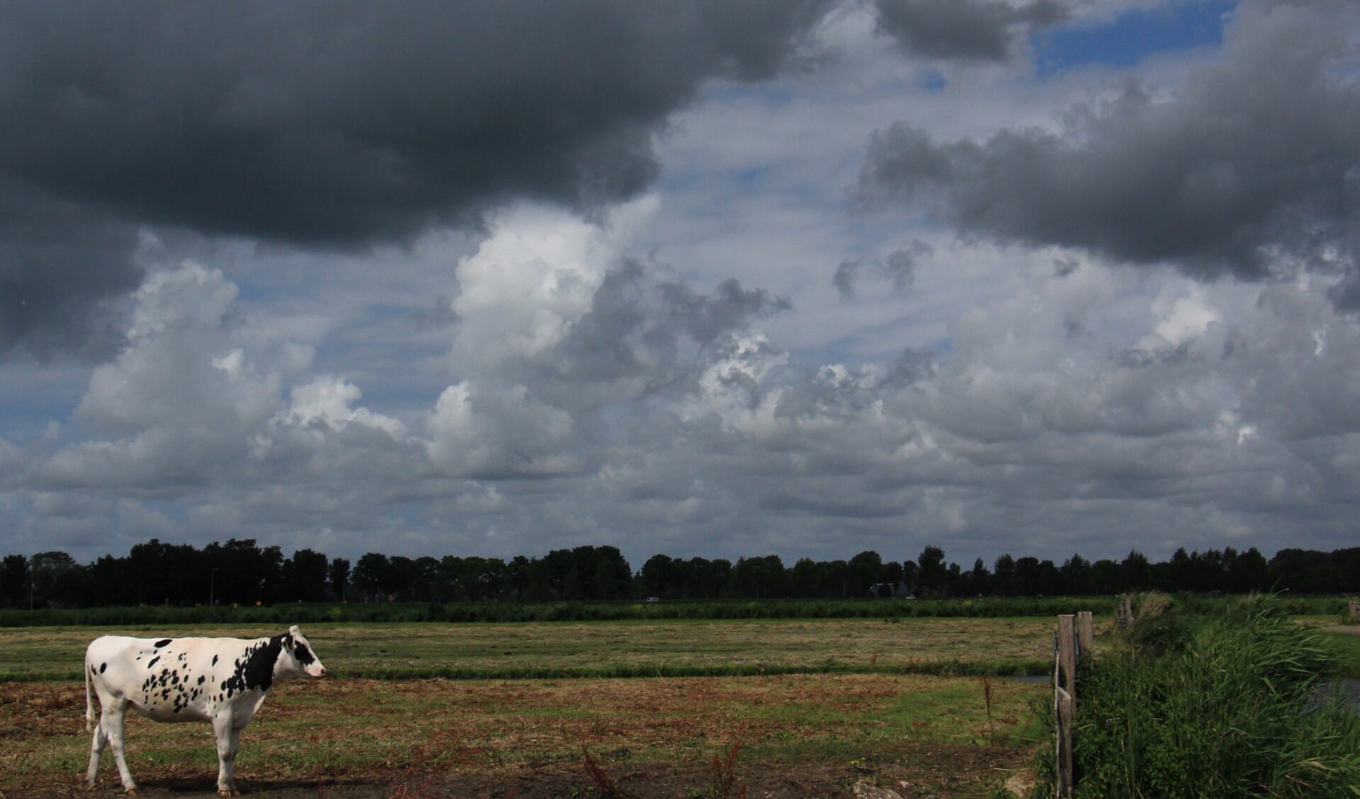 Expo door lokale fotografen in Oosthuizen | Al het nieuws uit Edam - Volendam