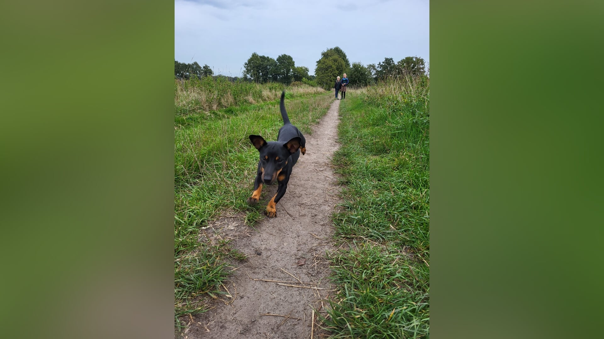 De mooiste lezersfoto’s van deze week
