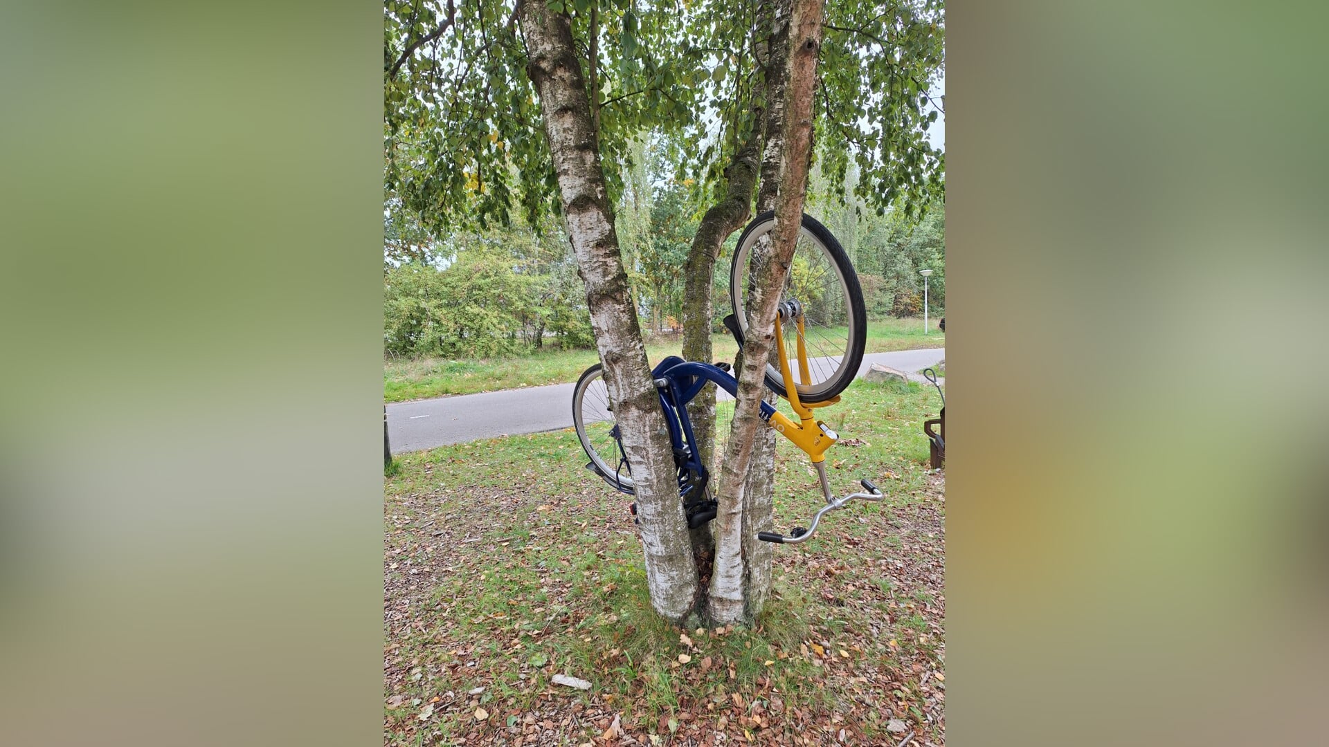 Foto van de dag