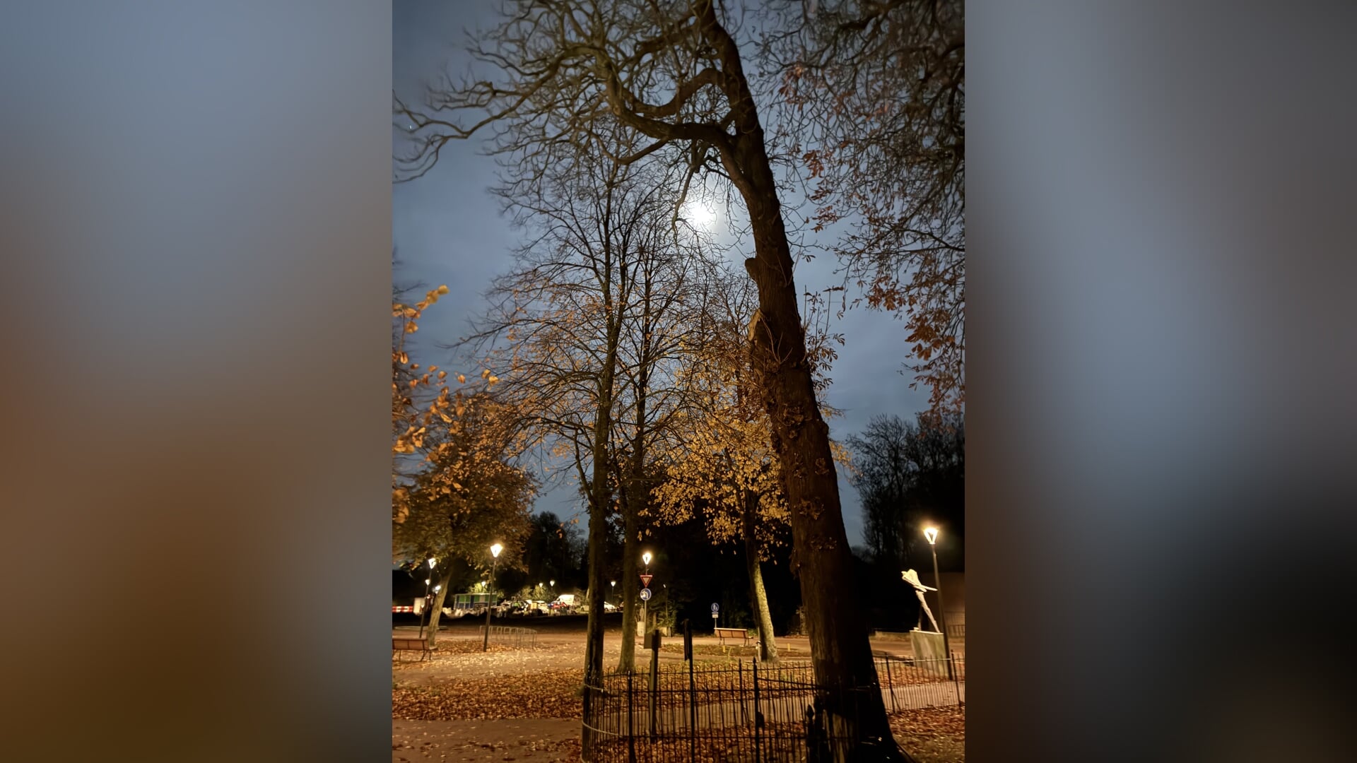 Lezersfoto: ‘Zie de maan schijnt door de bomen...’ op het Kampje