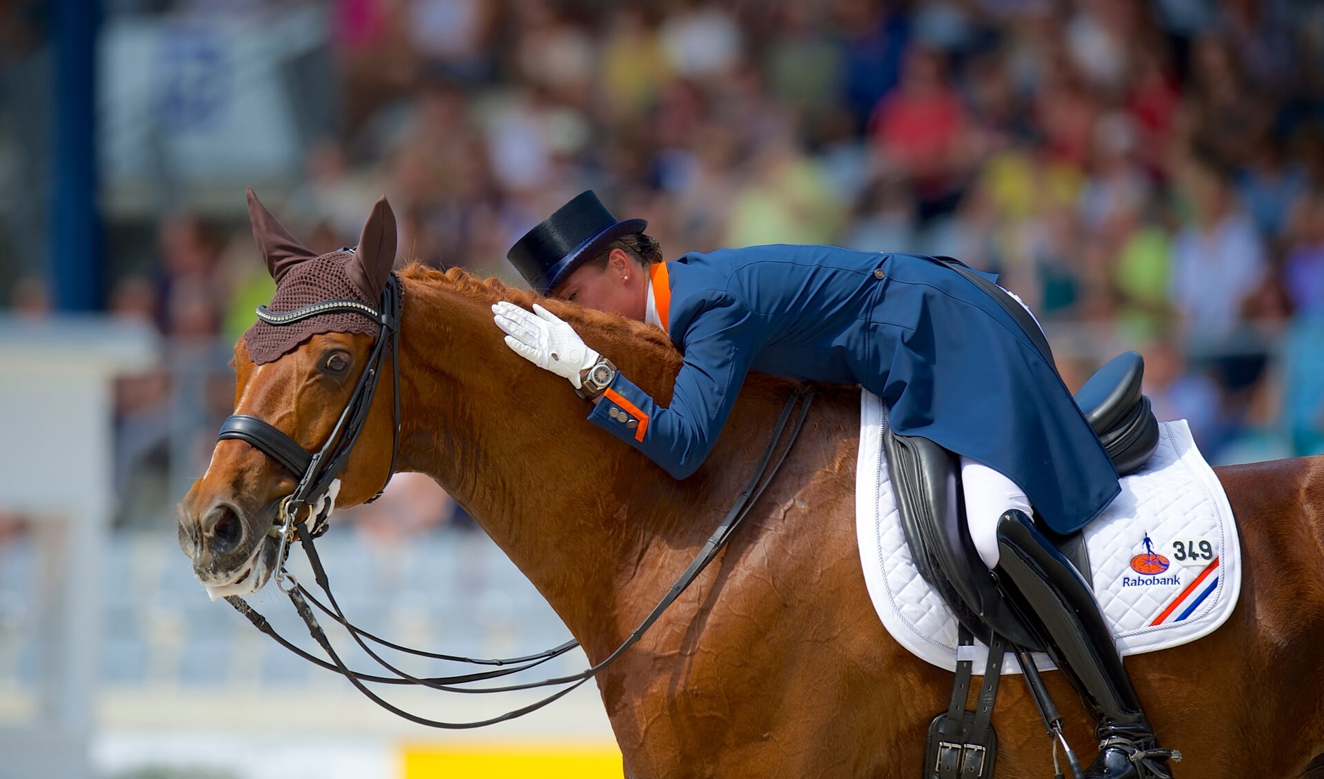 Blog Stephan Wensing | “Gefeliciteerd met het overlijden van je paard ...