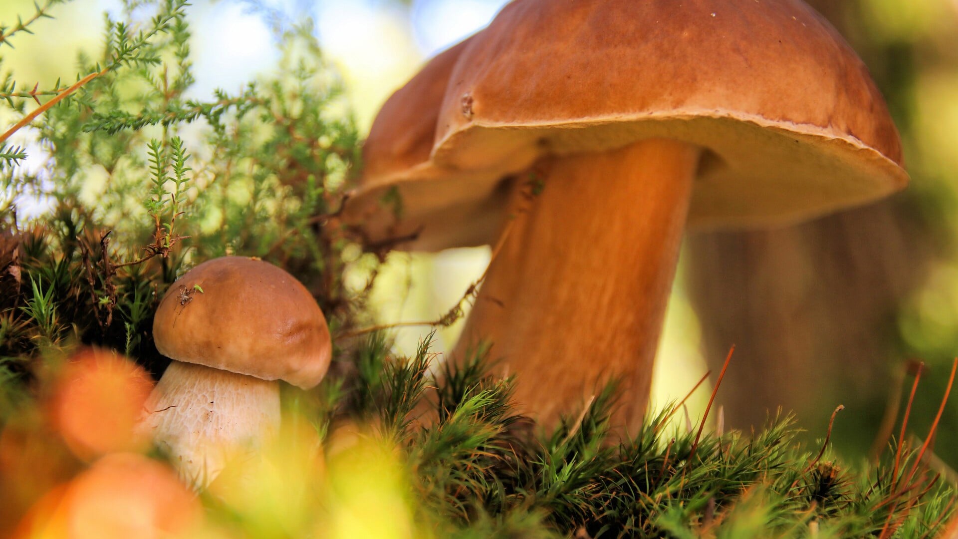 Lezersfoto van de dag