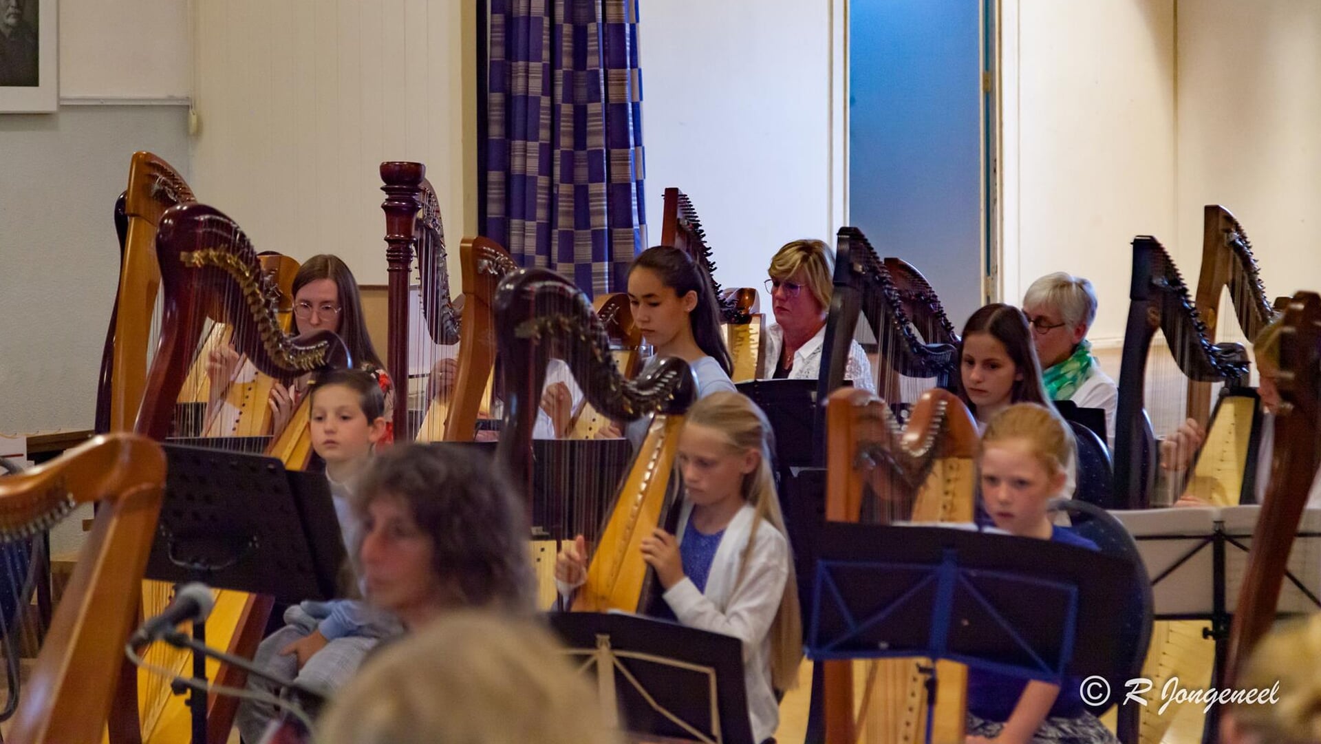 Viool- en harpleerlingen treden op in Oostdam