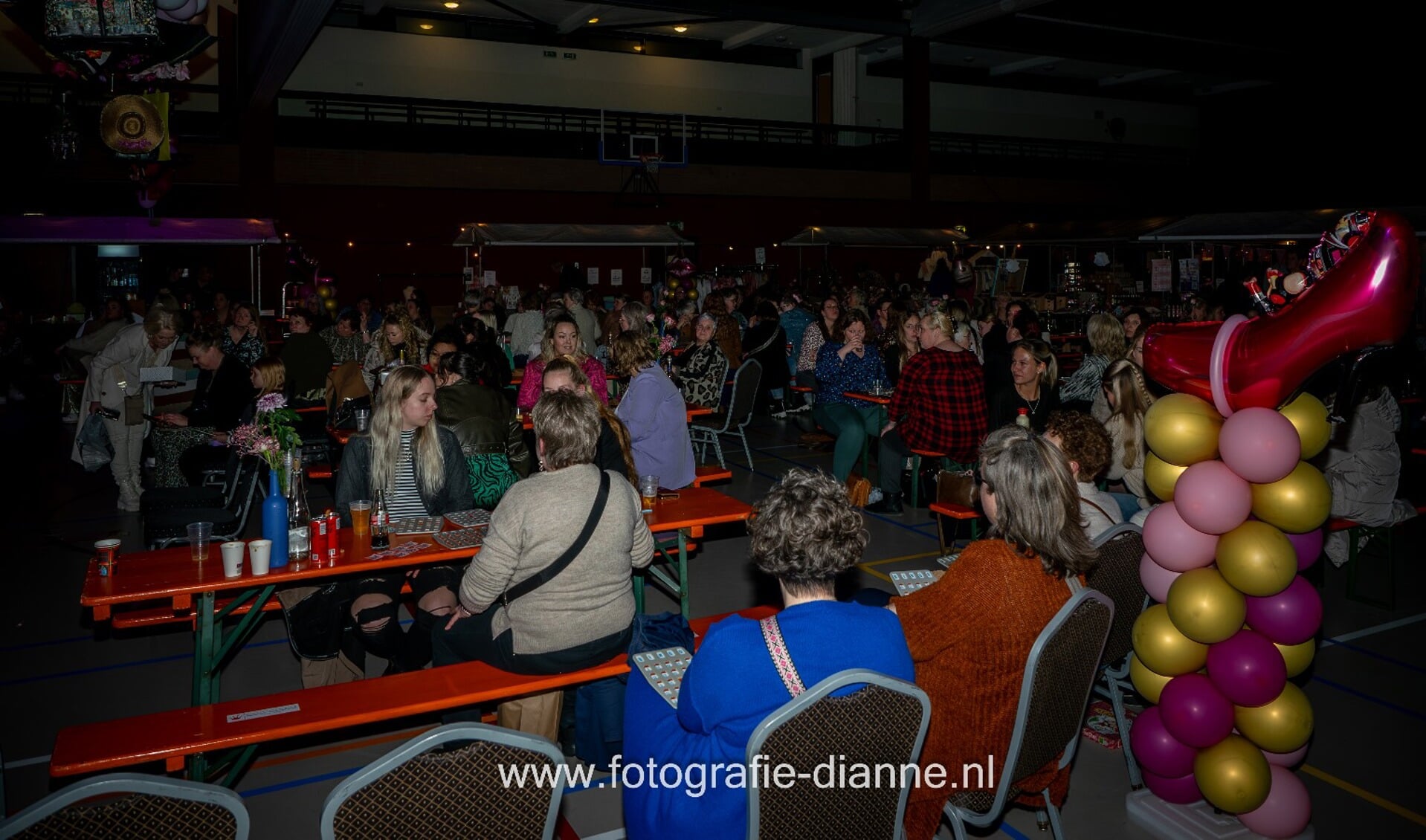 Druk bezochte Ladies Night in Westerhaar voor het EK Teamgym/Esmée Schoemaker.