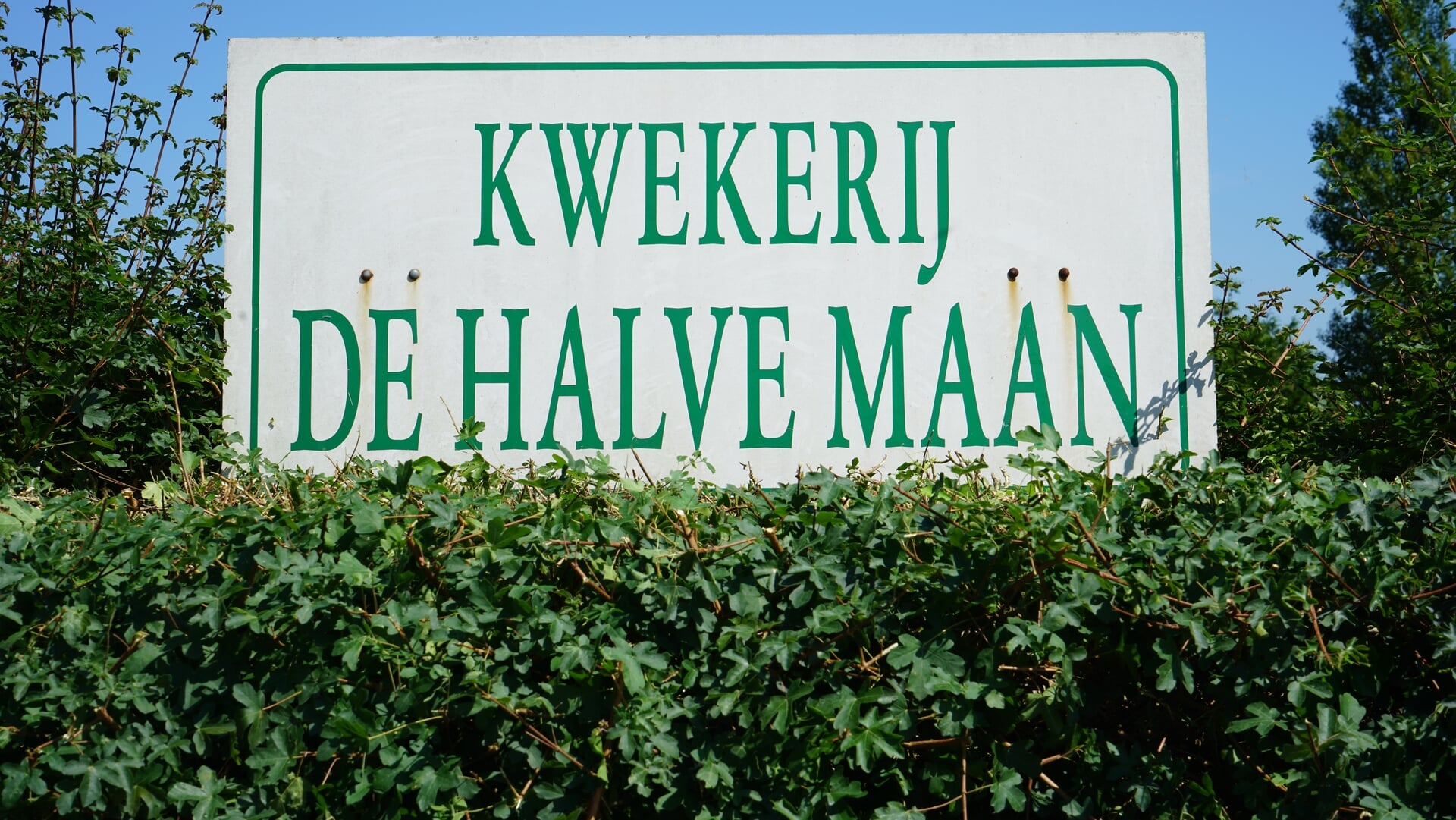 Kwekerij De Halve Maan gaat weer open!