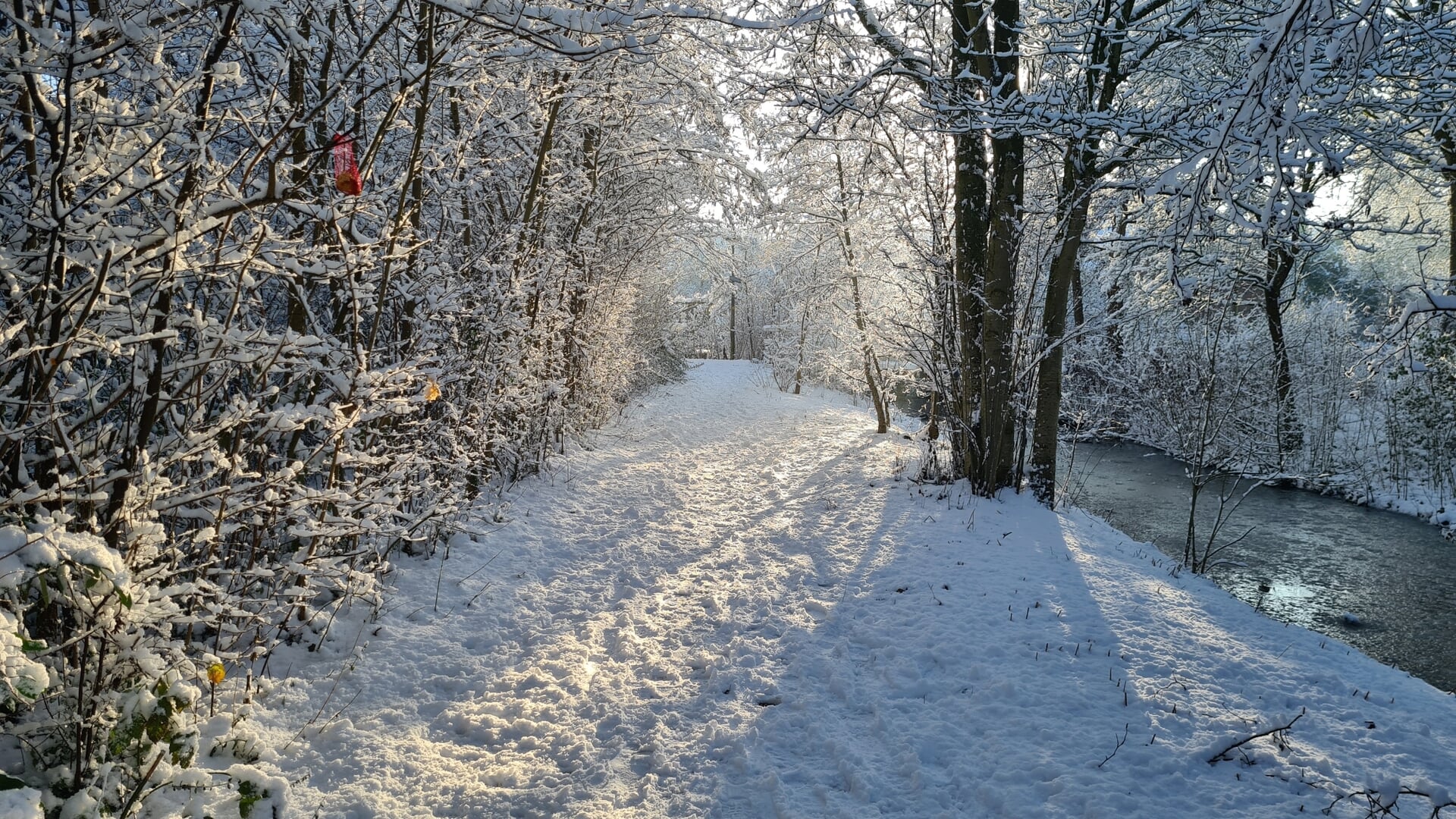 Sneeuw